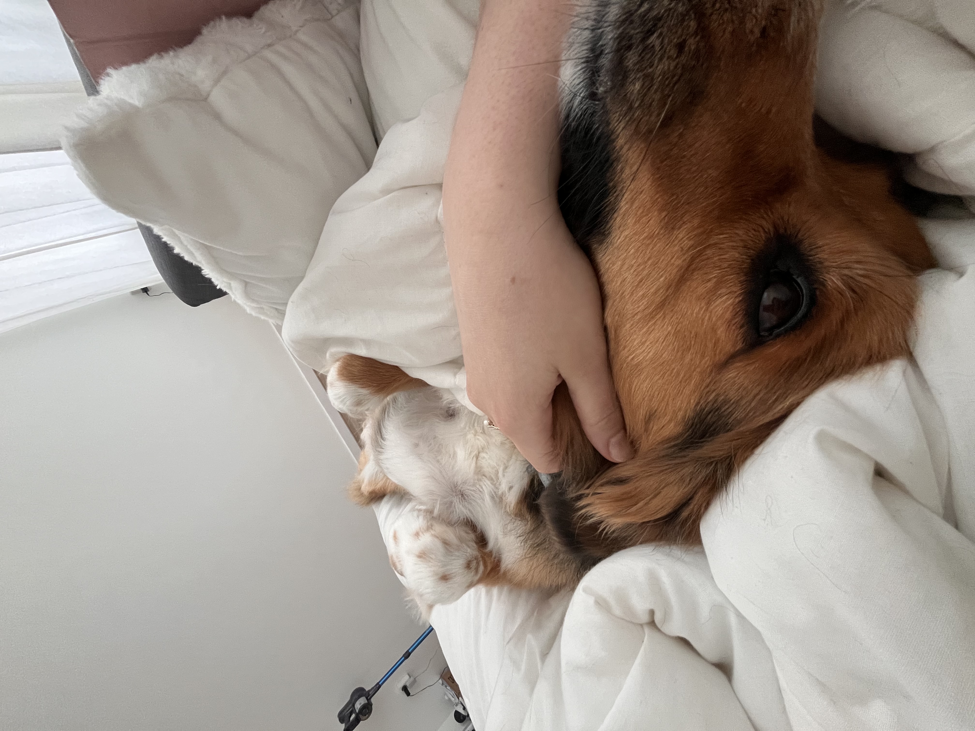 image-9
