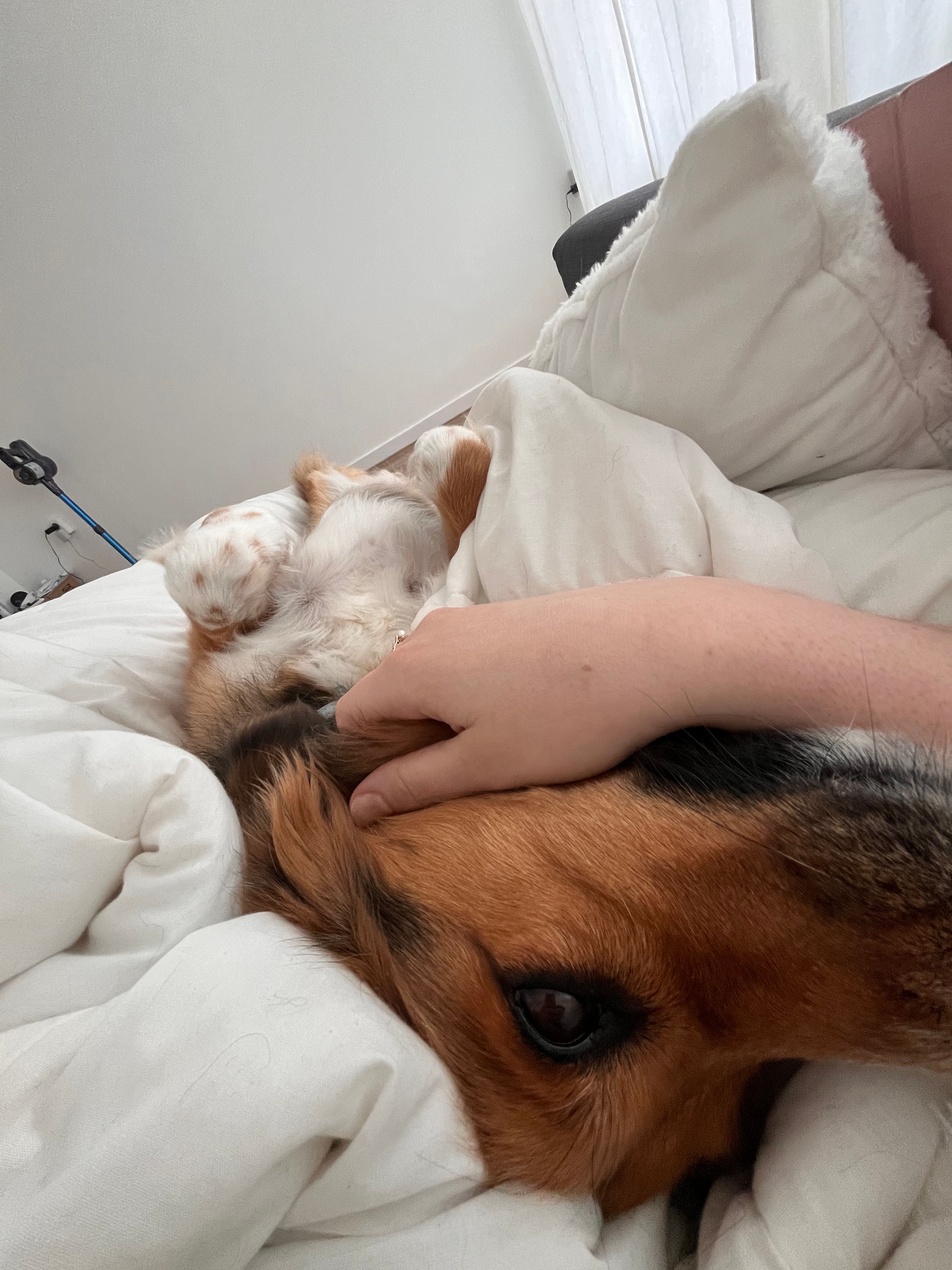 image-9