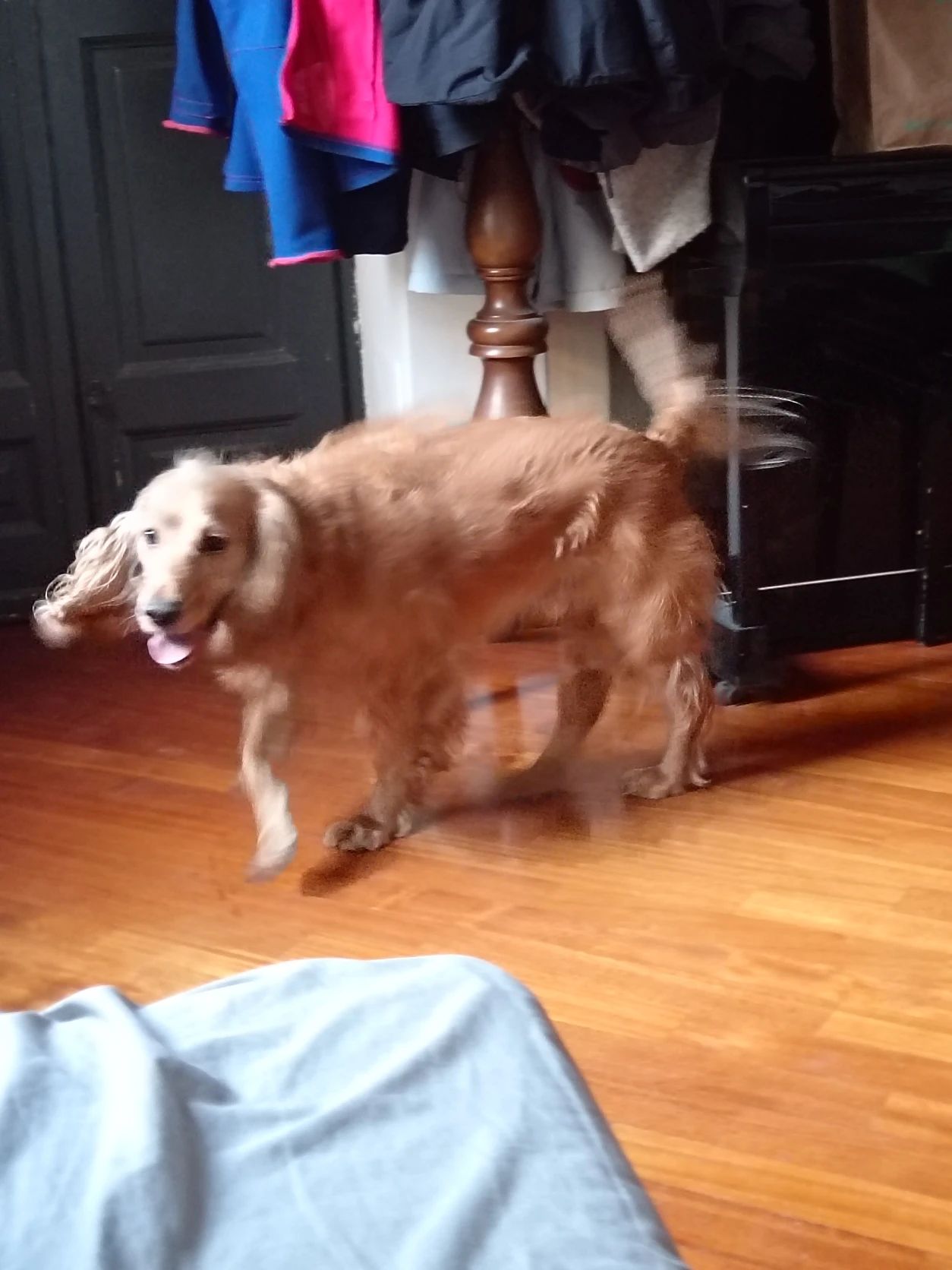 image-5