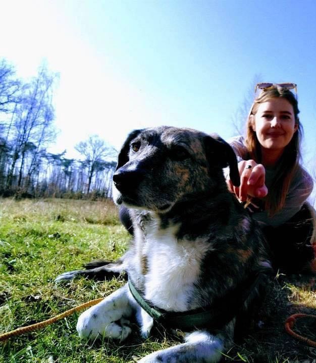 image-0