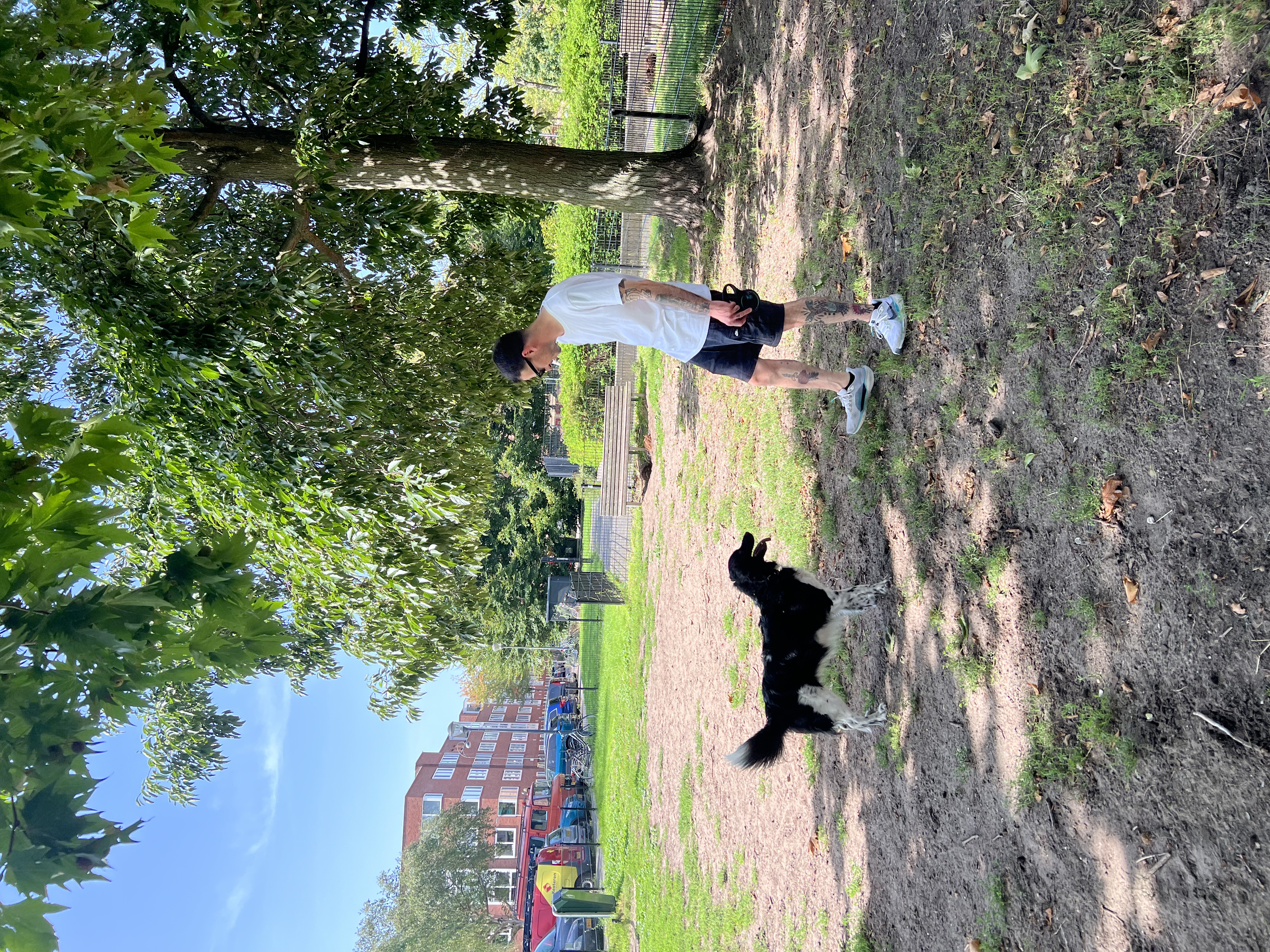 image-11