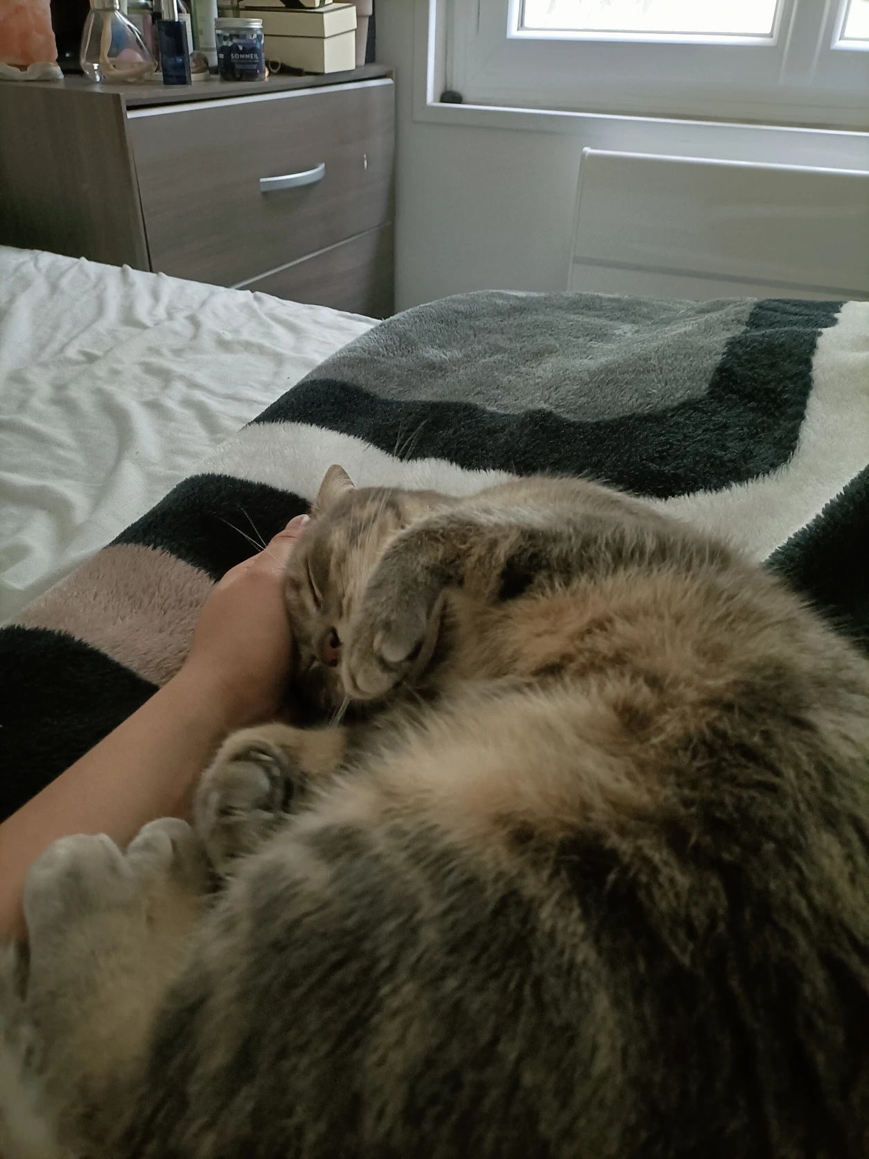 image-8