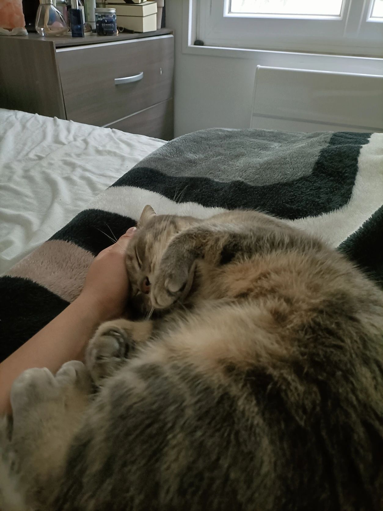 image-8