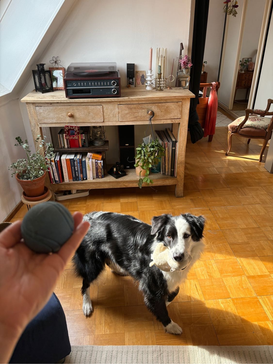 image-5