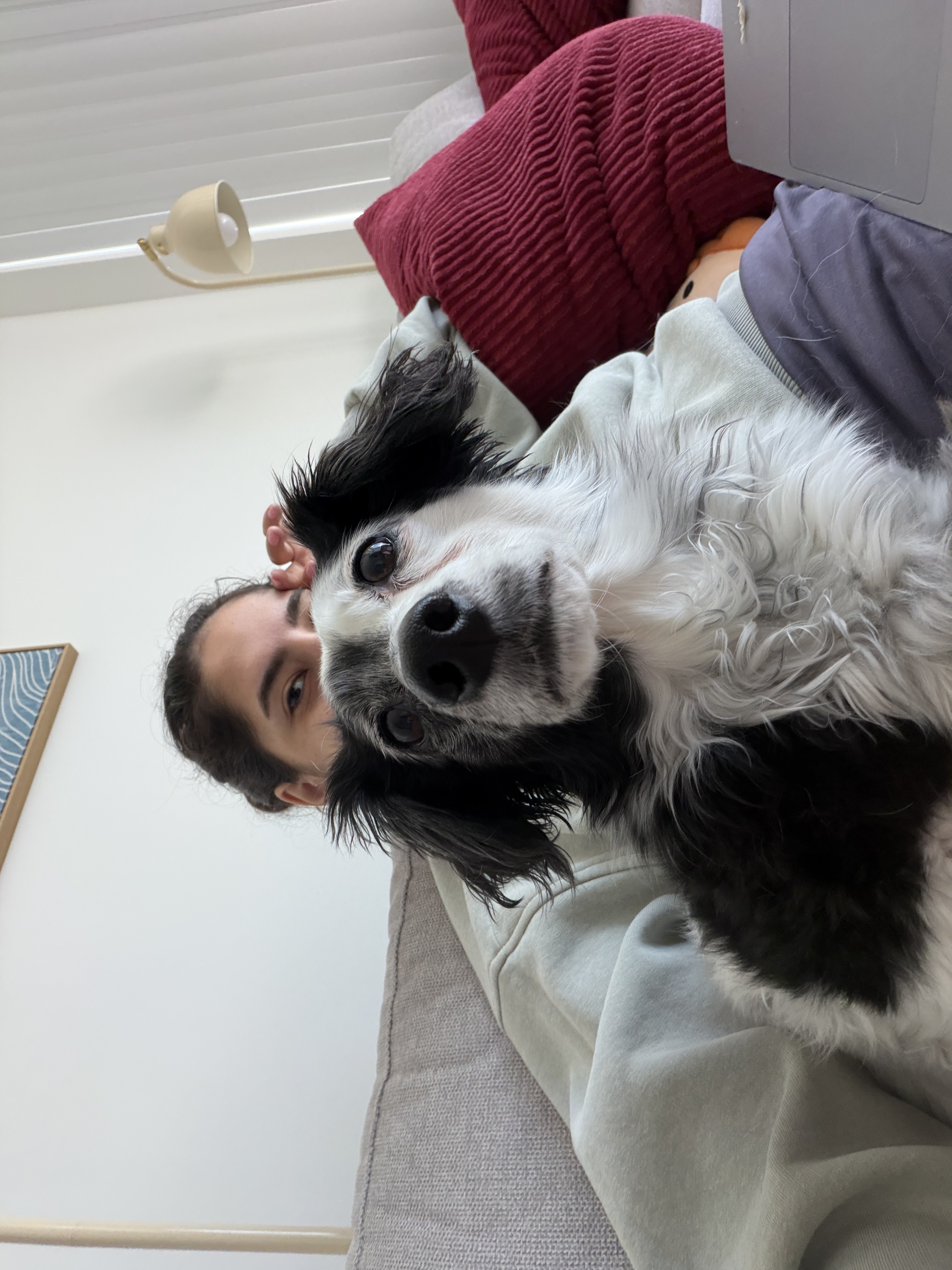 image-8