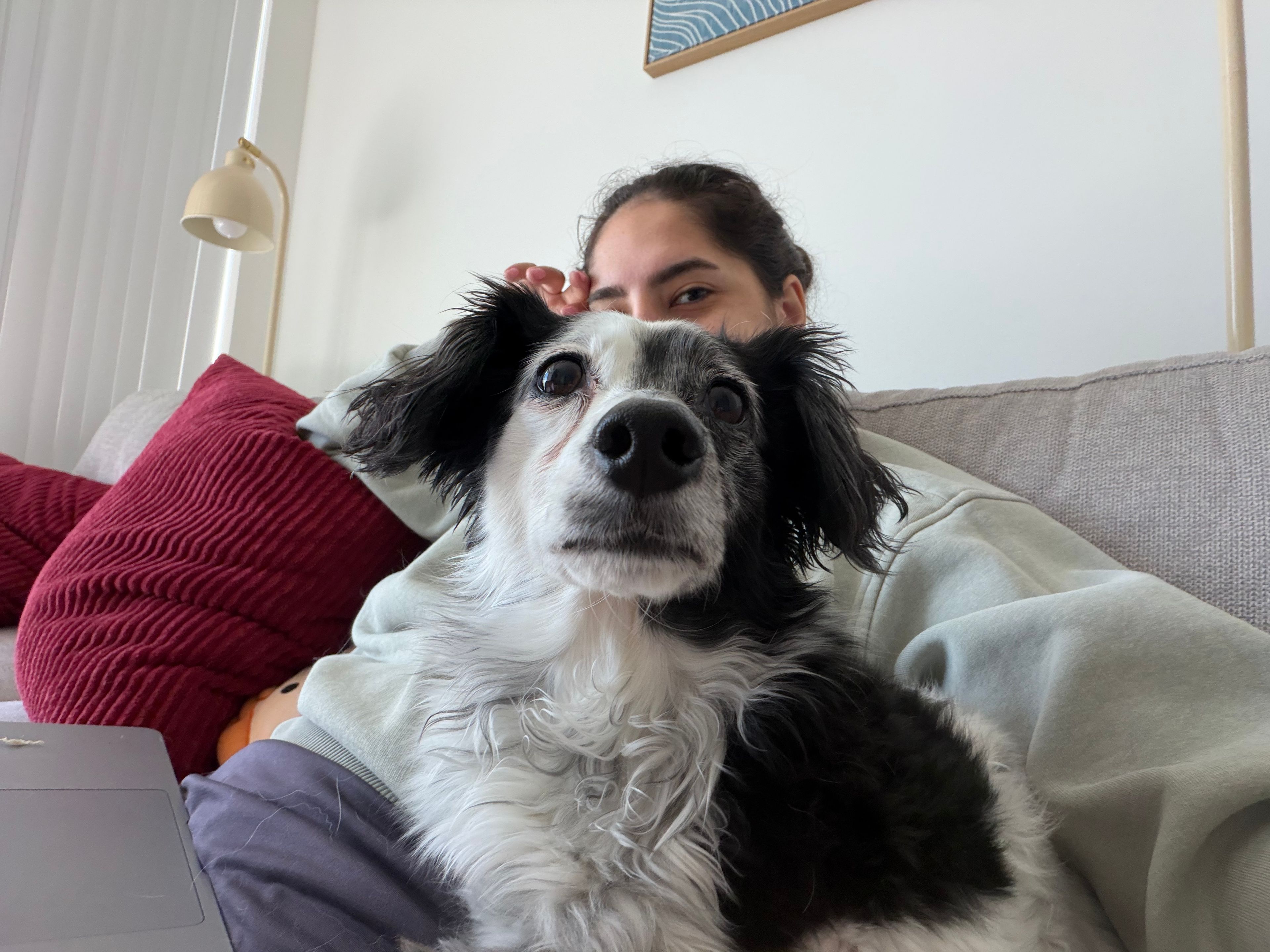 image-8
