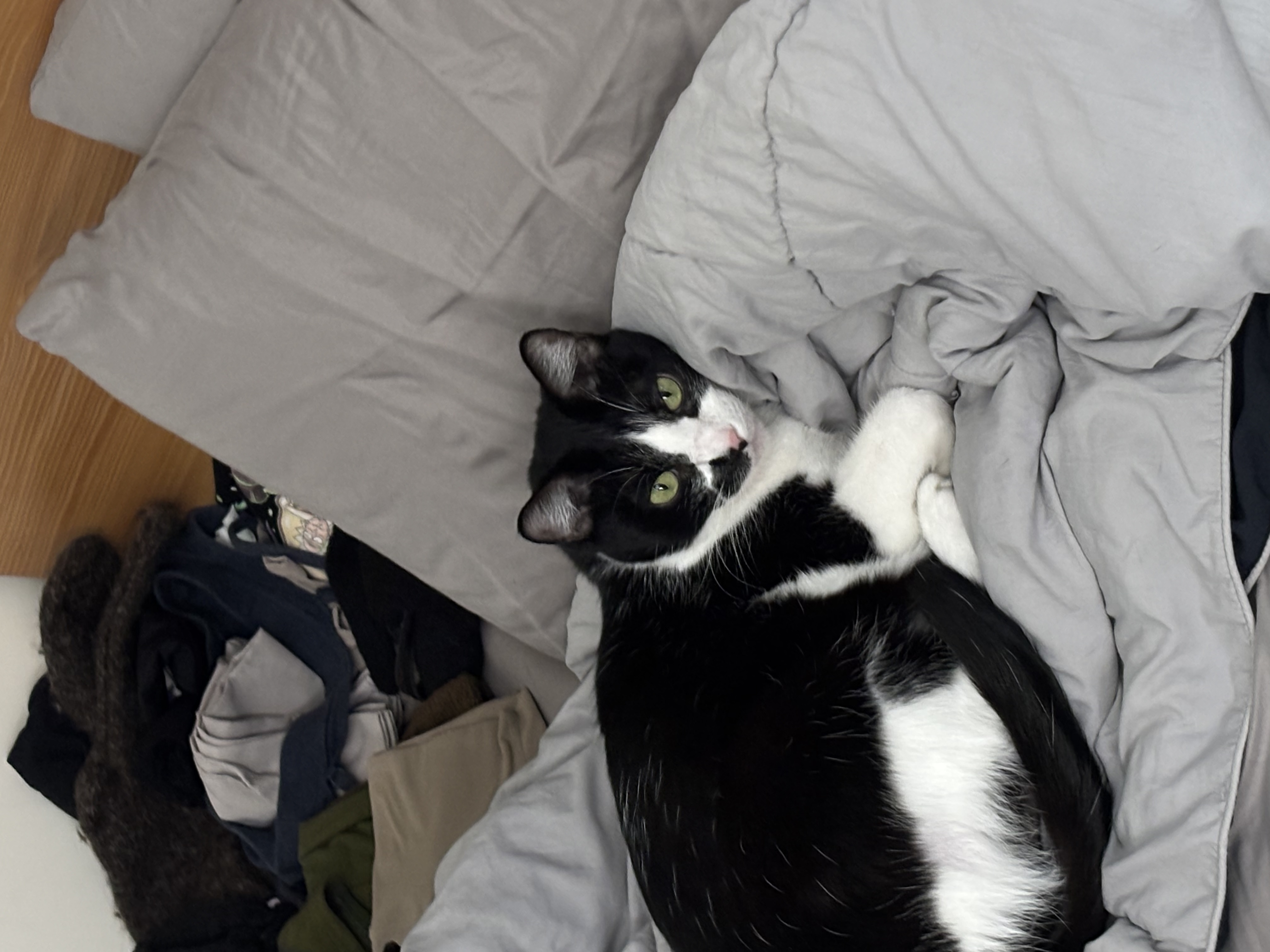 image-10