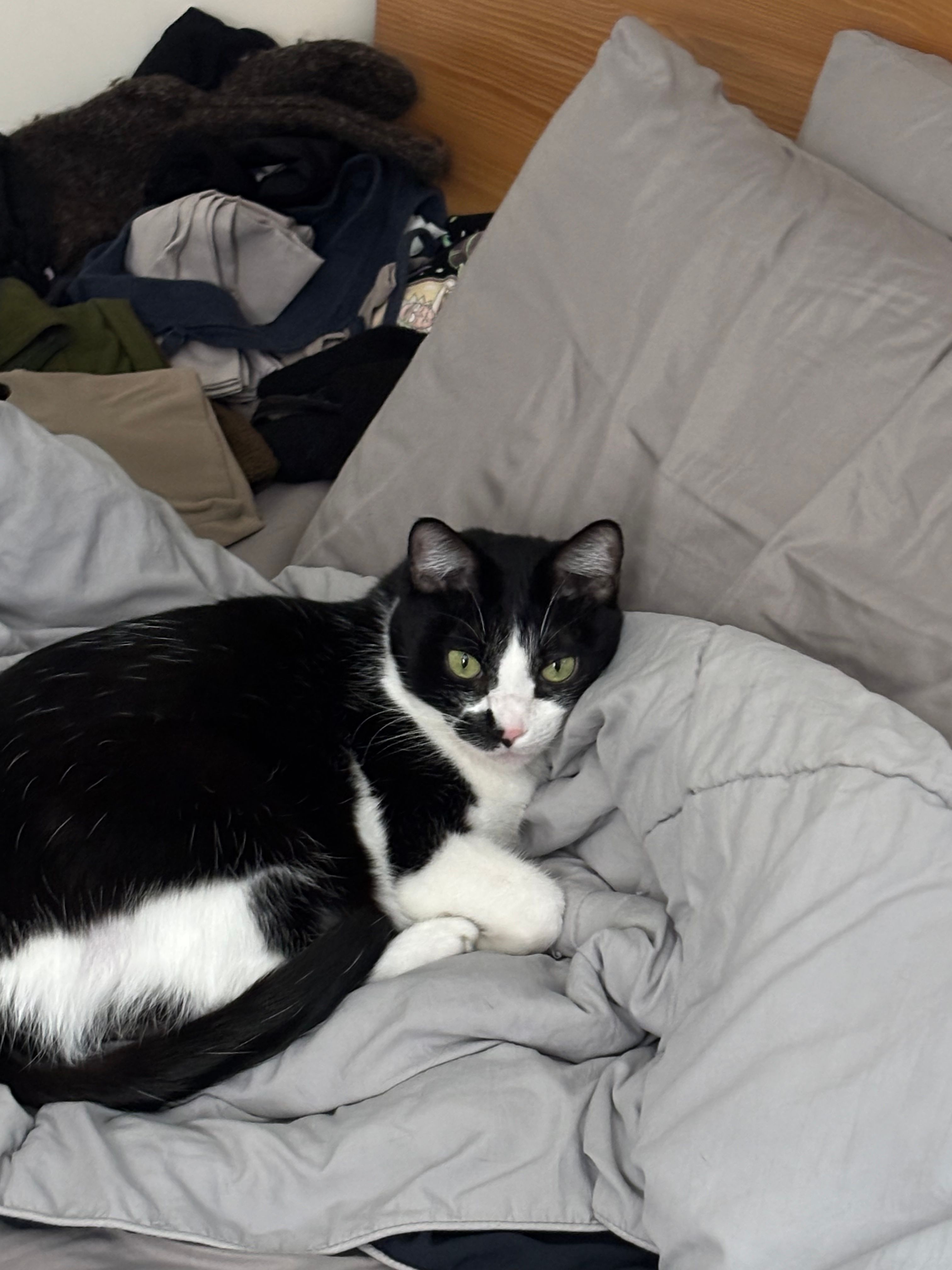 image-10