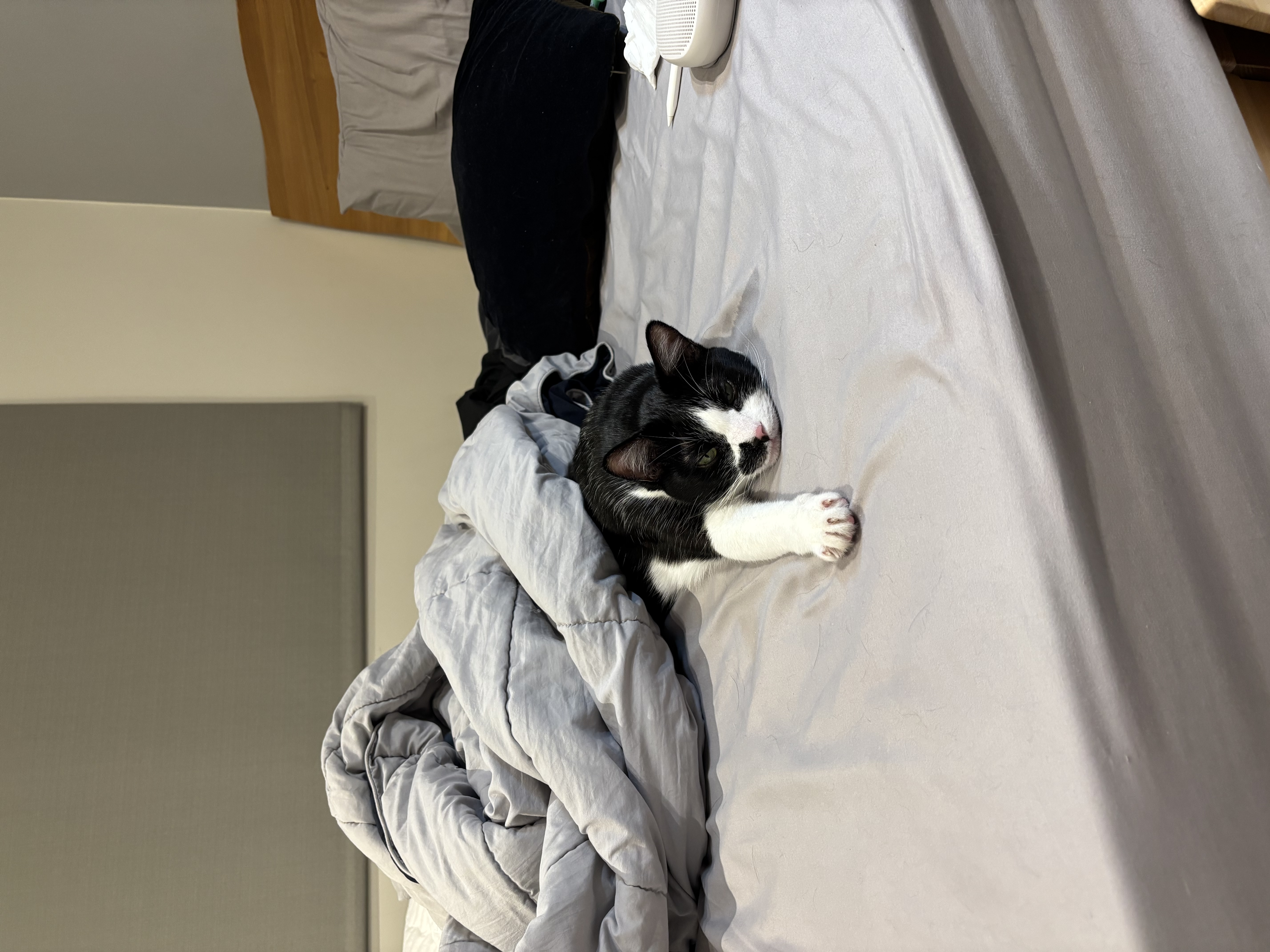 image-8