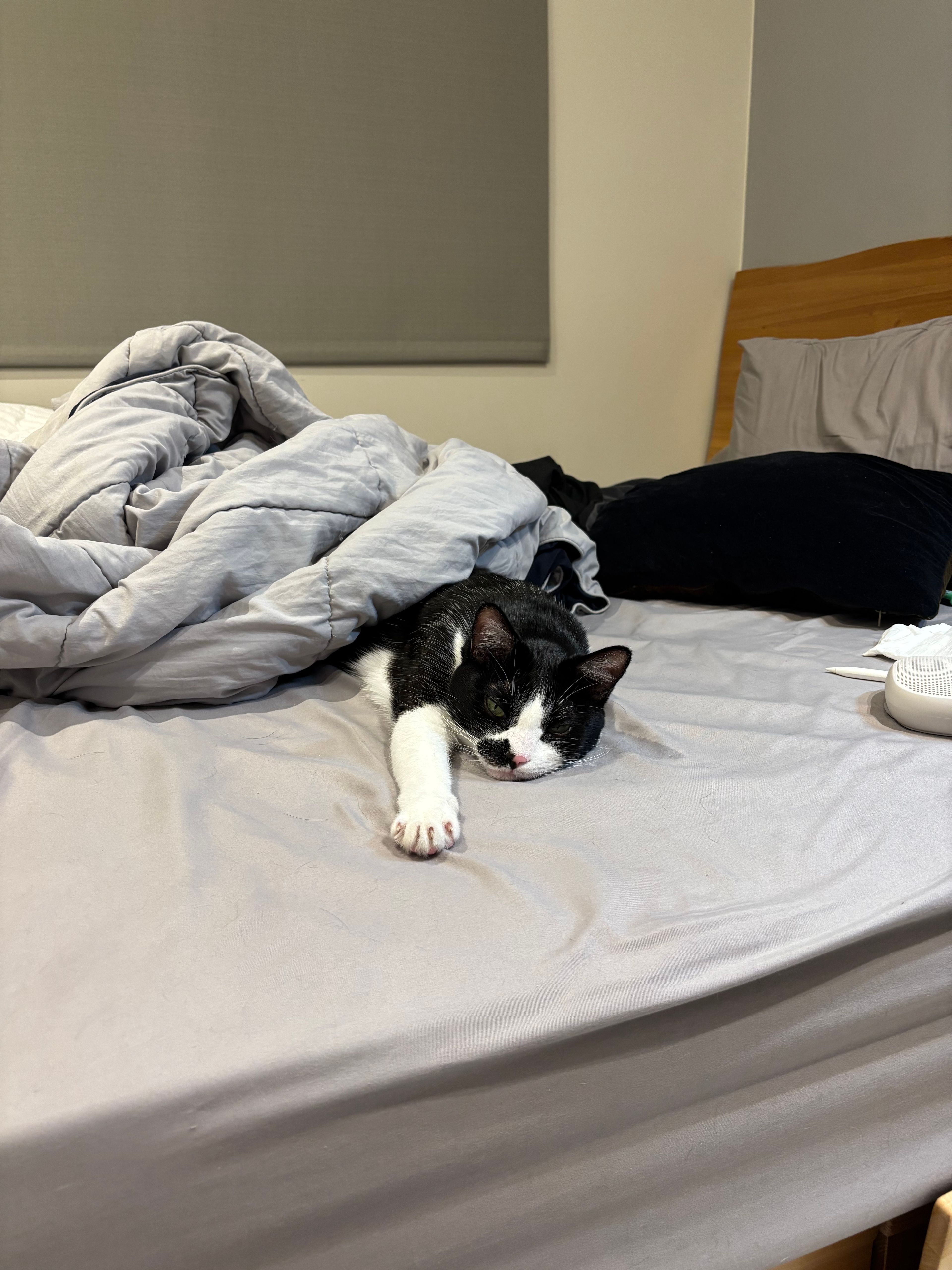 image-8