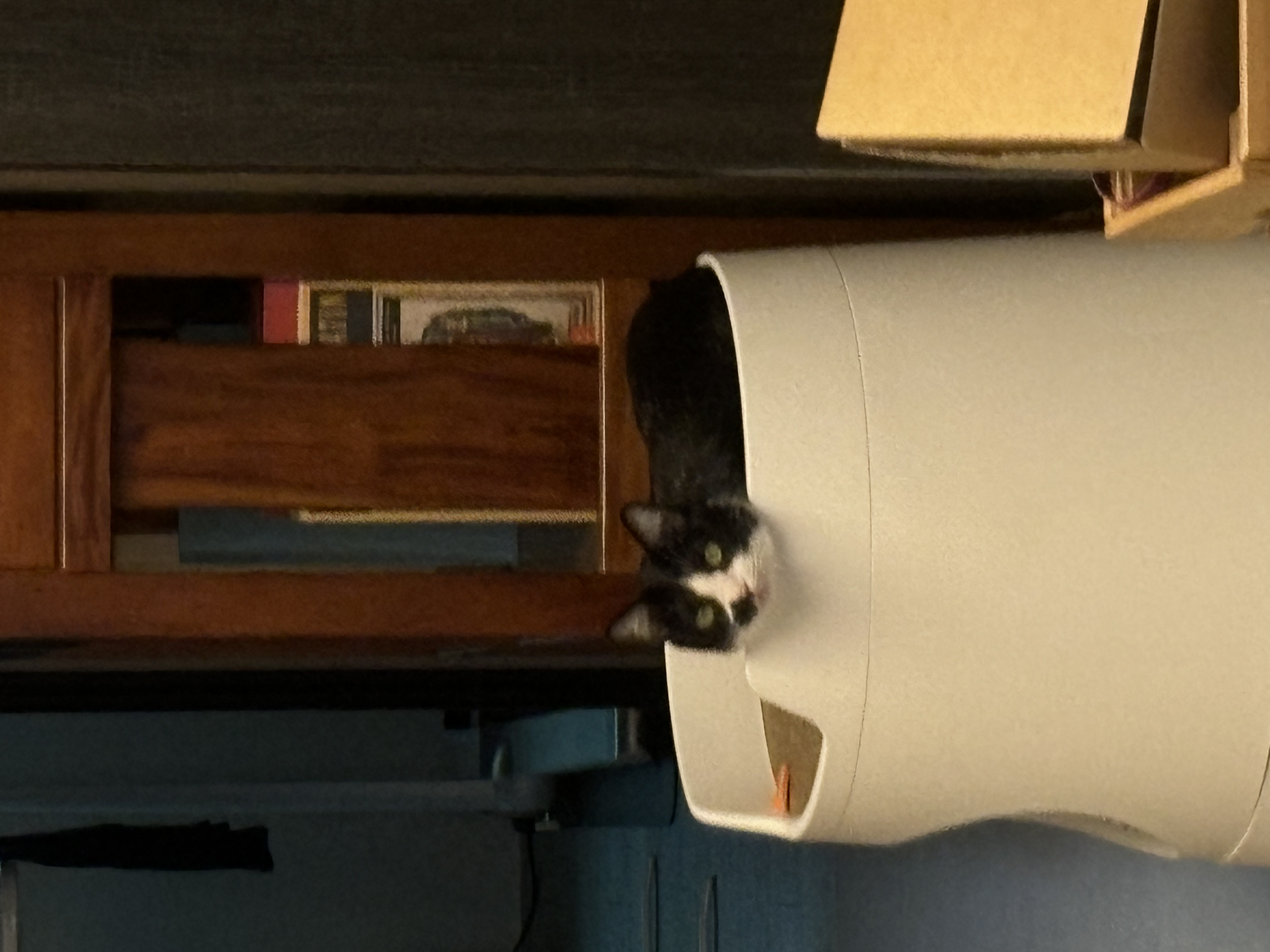 image-7