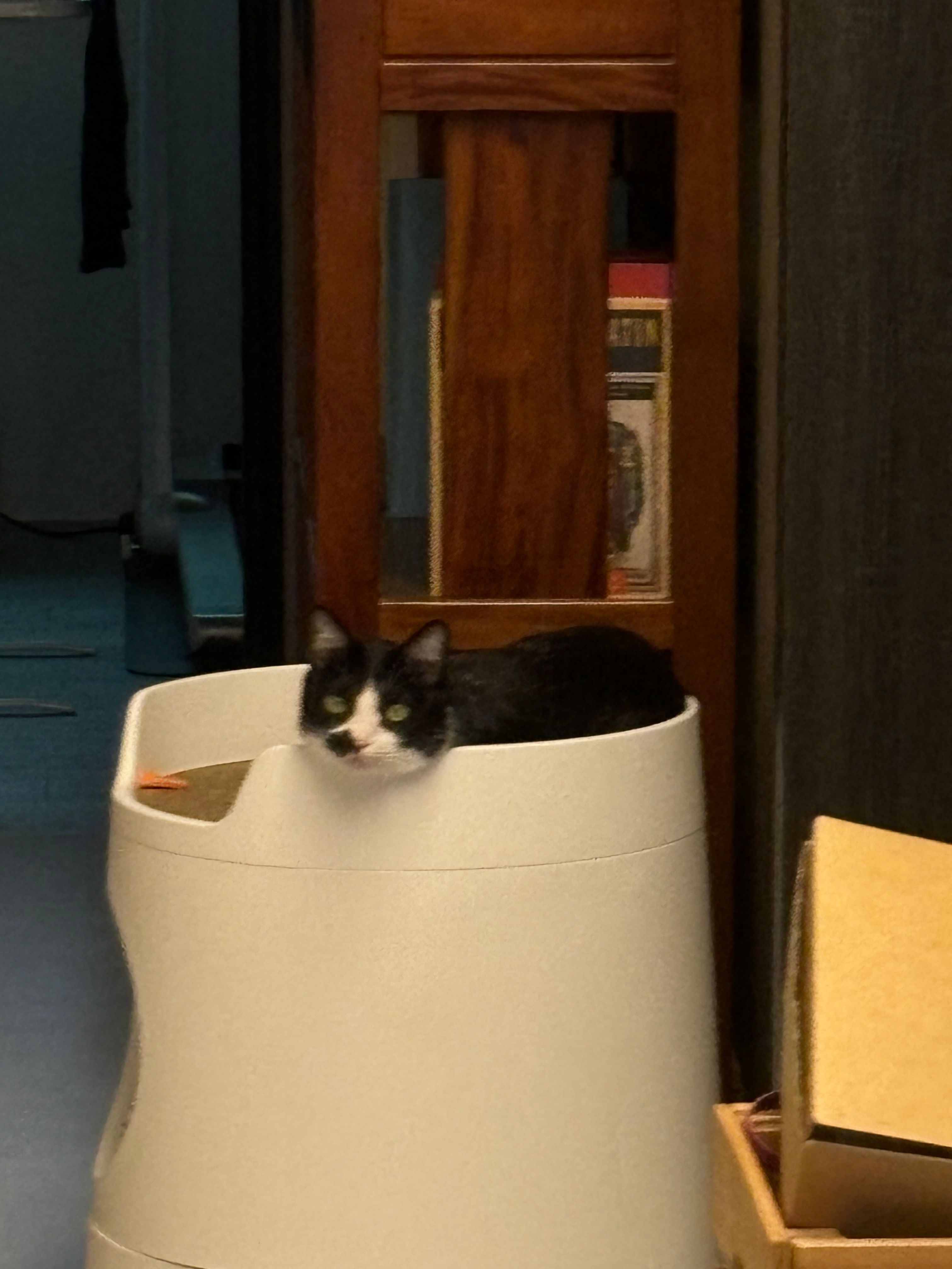 image-7