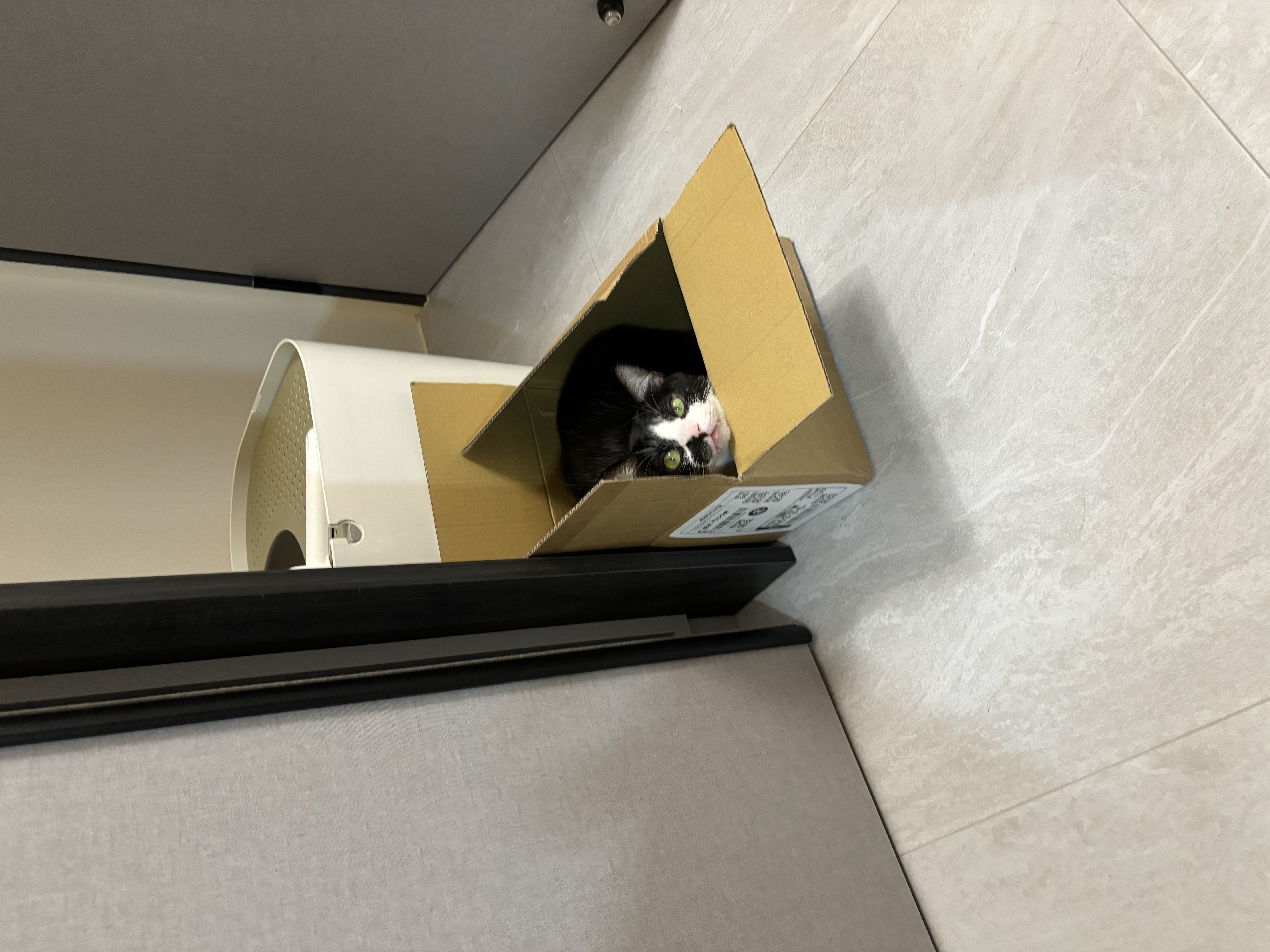 image-14