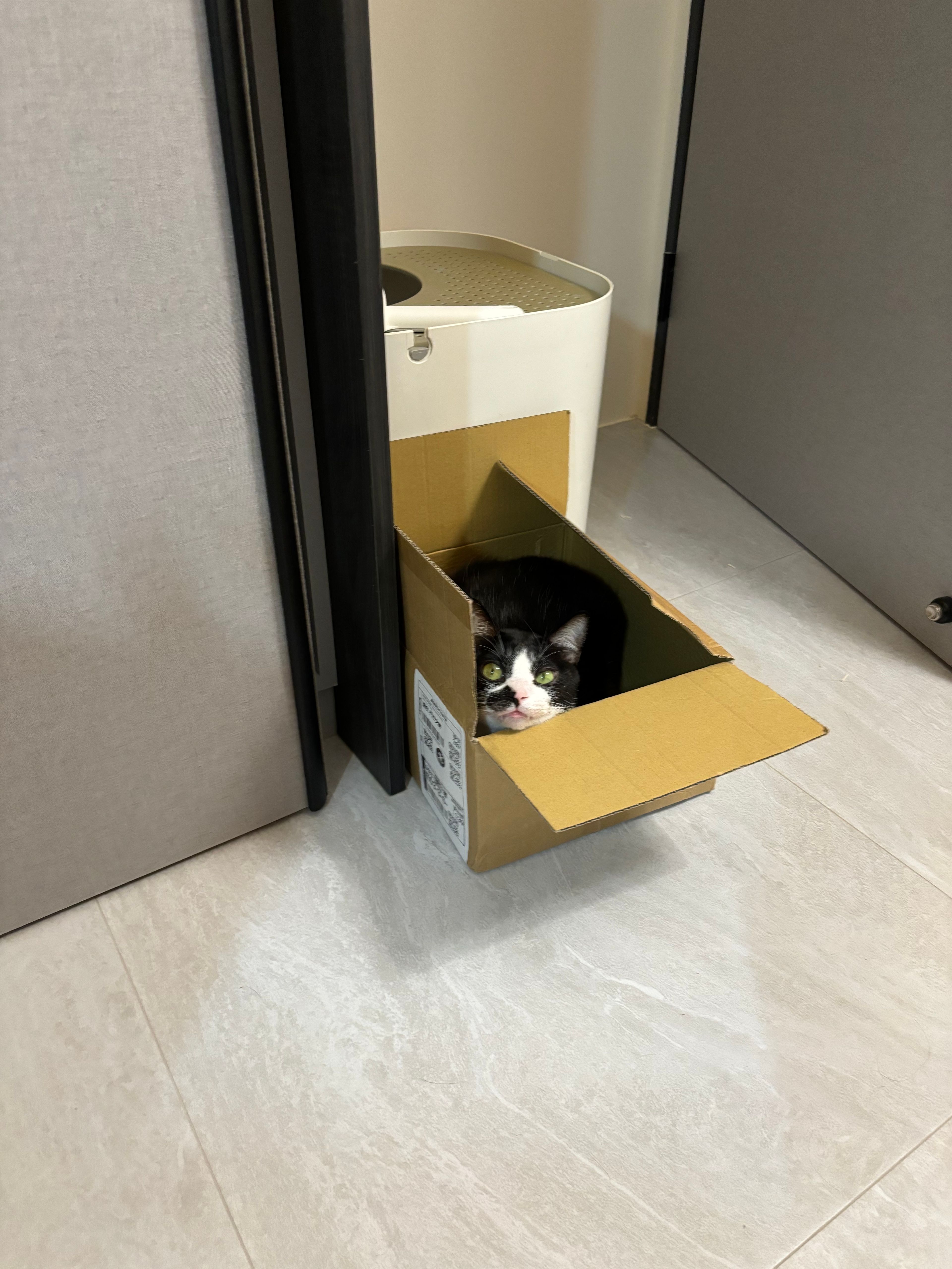 image-14