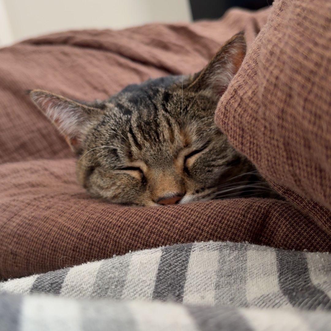Ellie