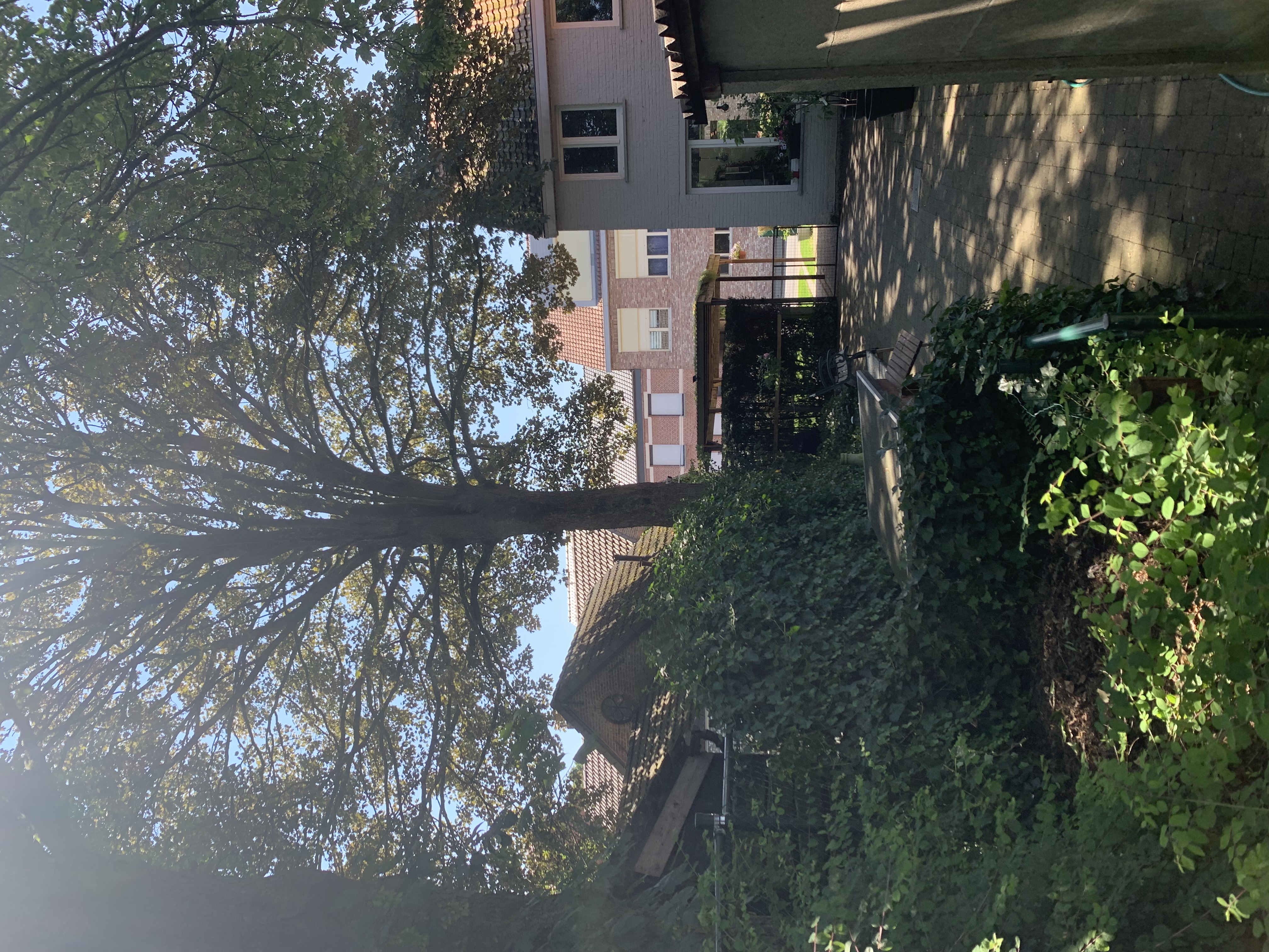 image-27