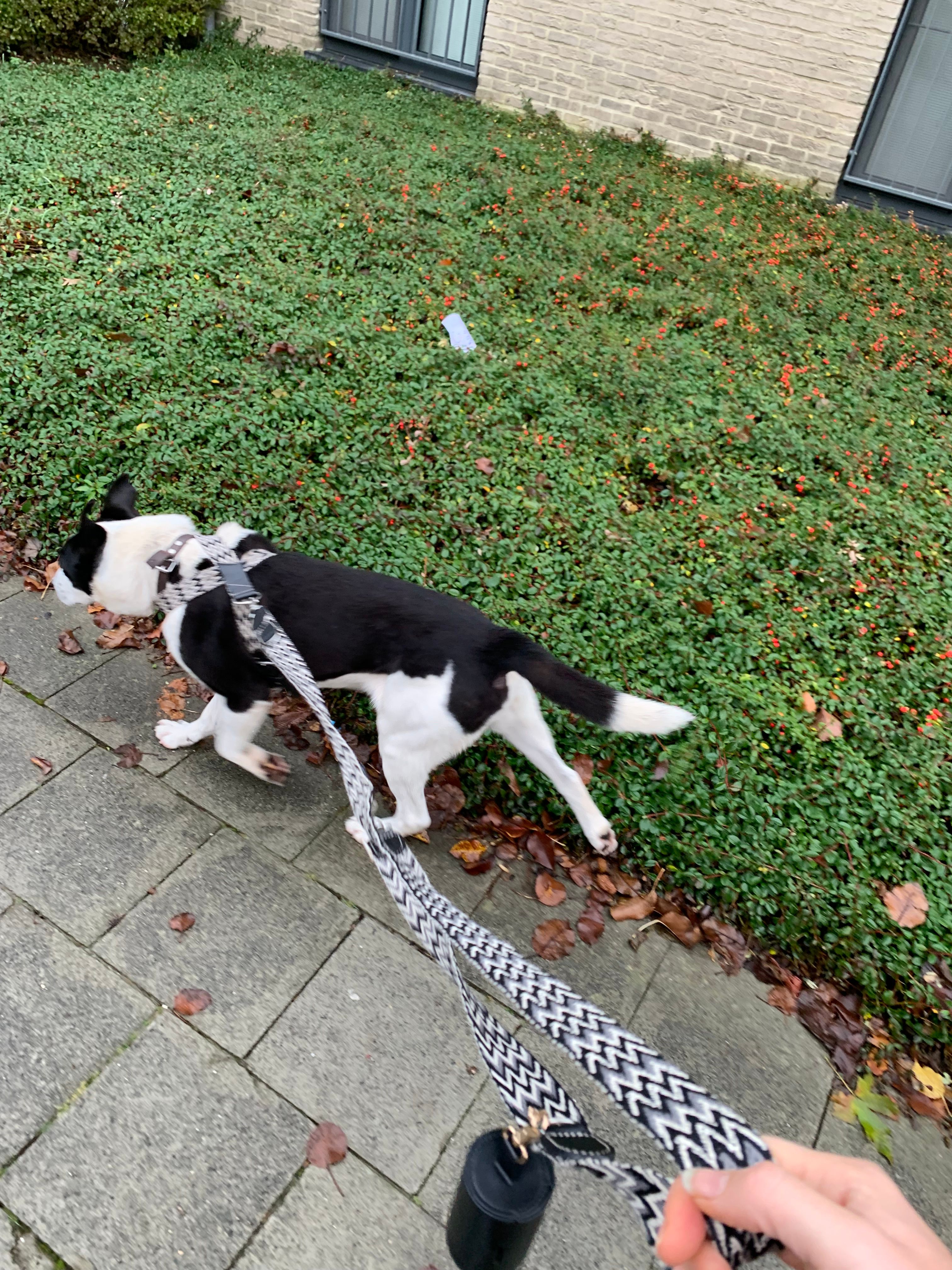 image-6