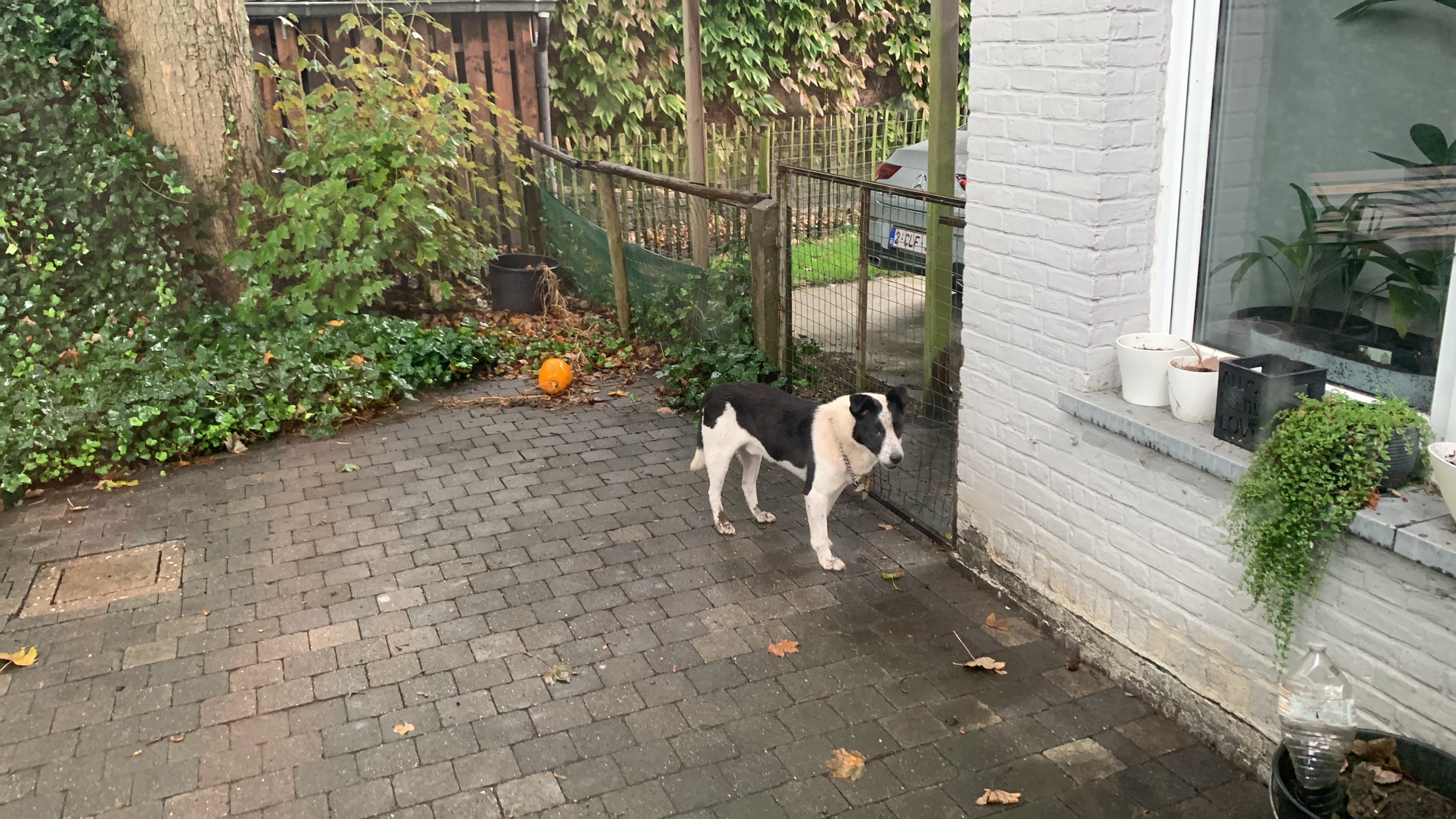 image-30