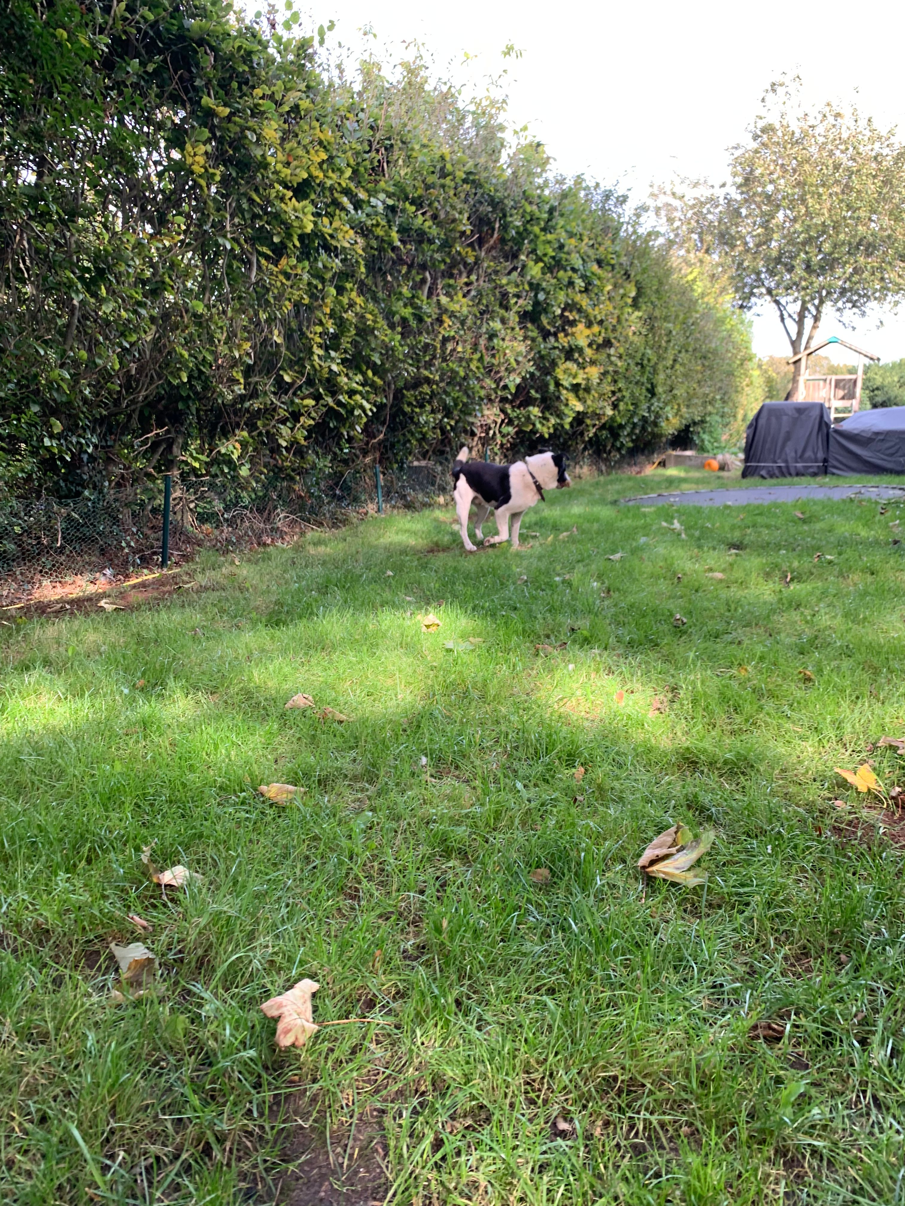 image-43
