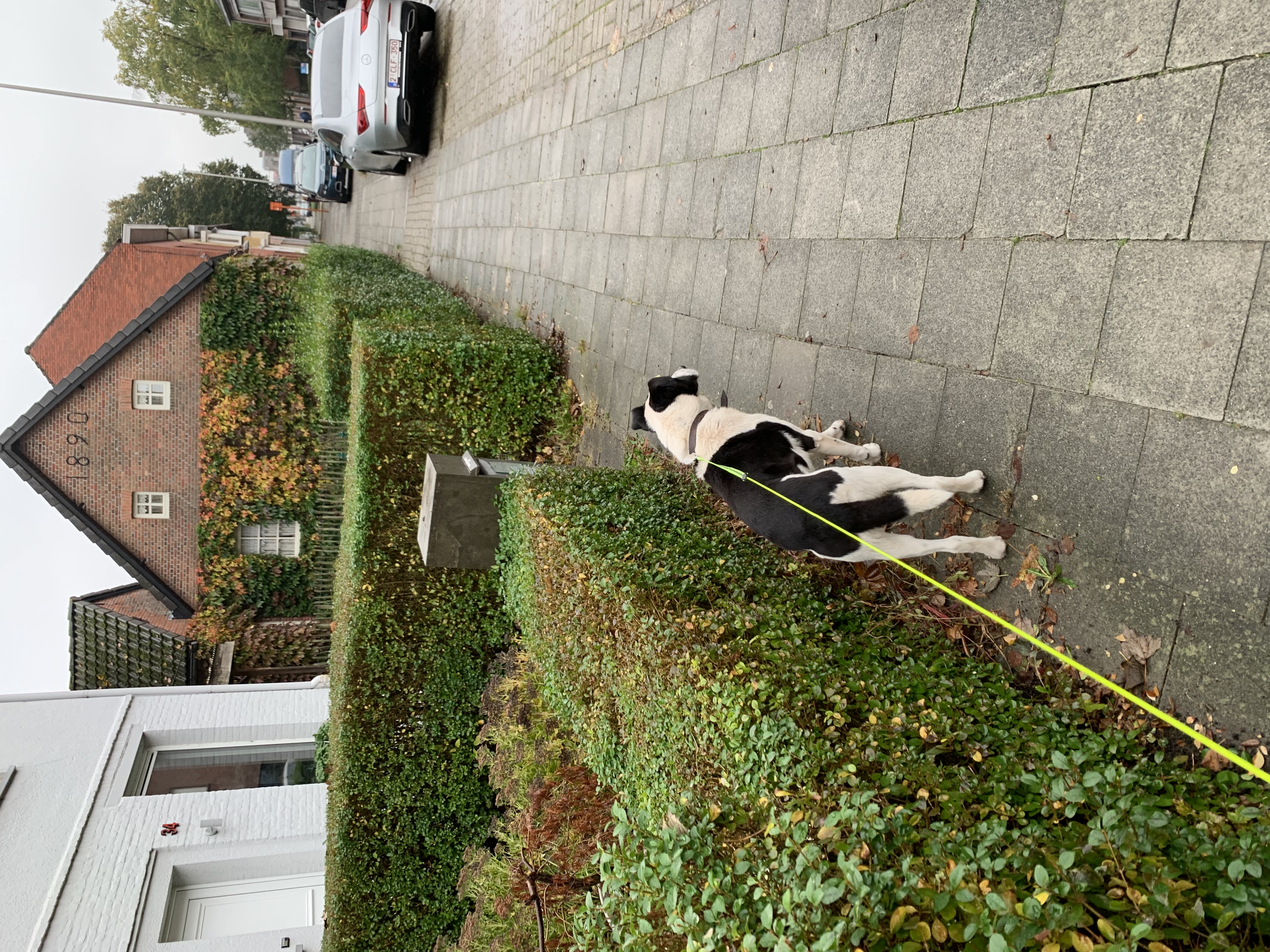 image-4