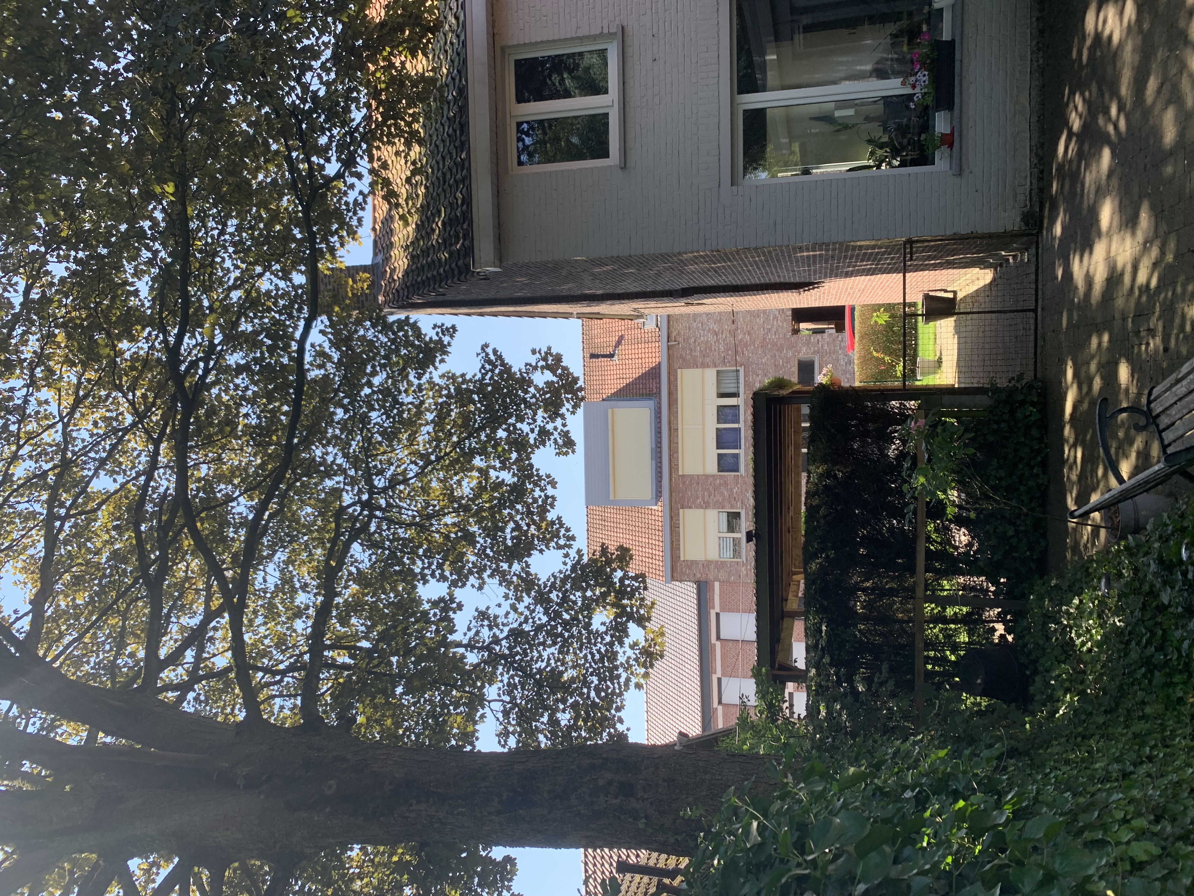 image-26