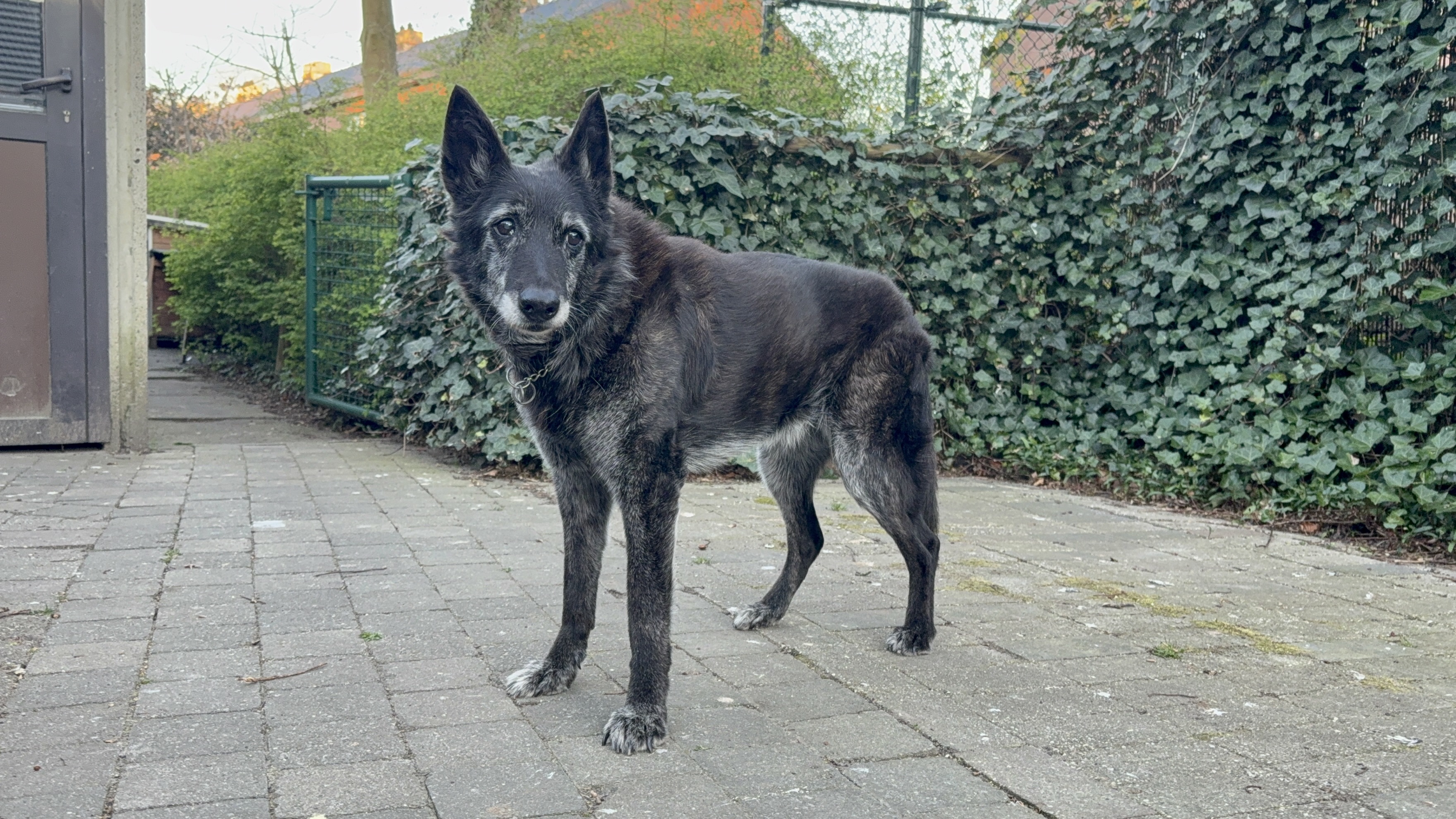 image-20