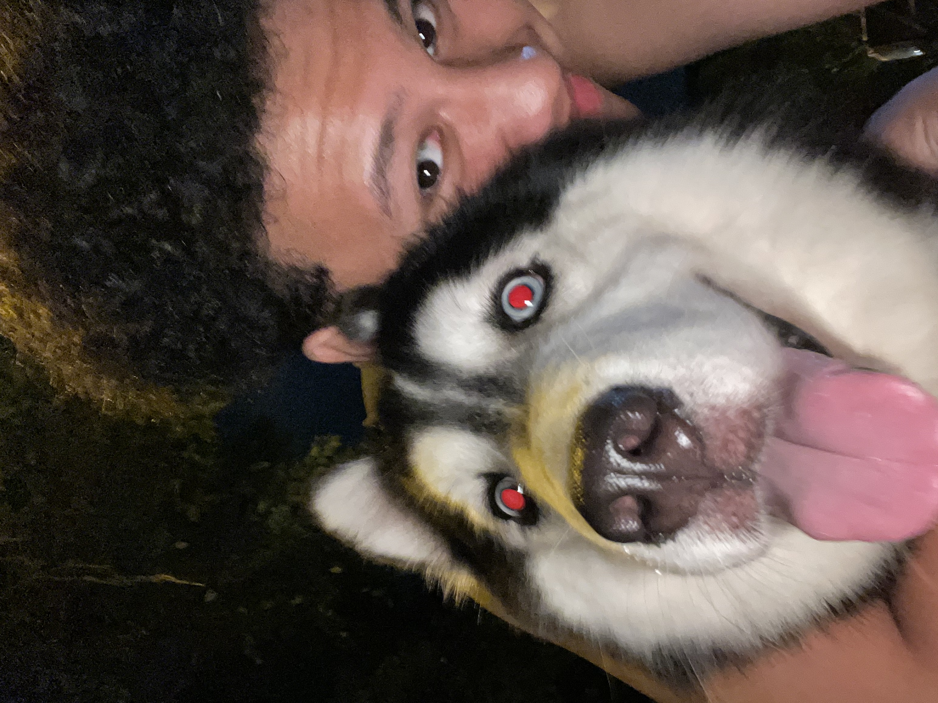 image-5
