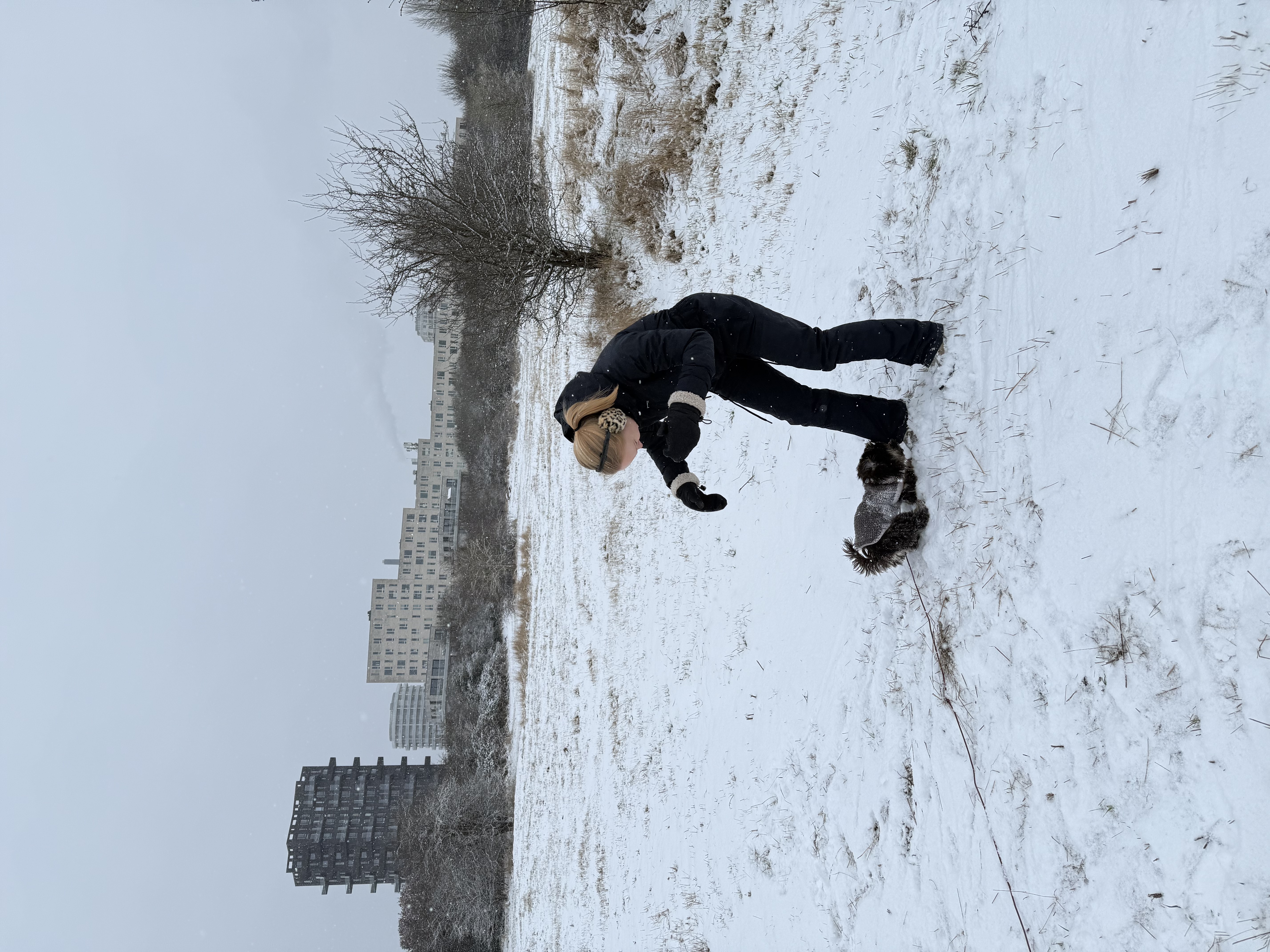 image-20