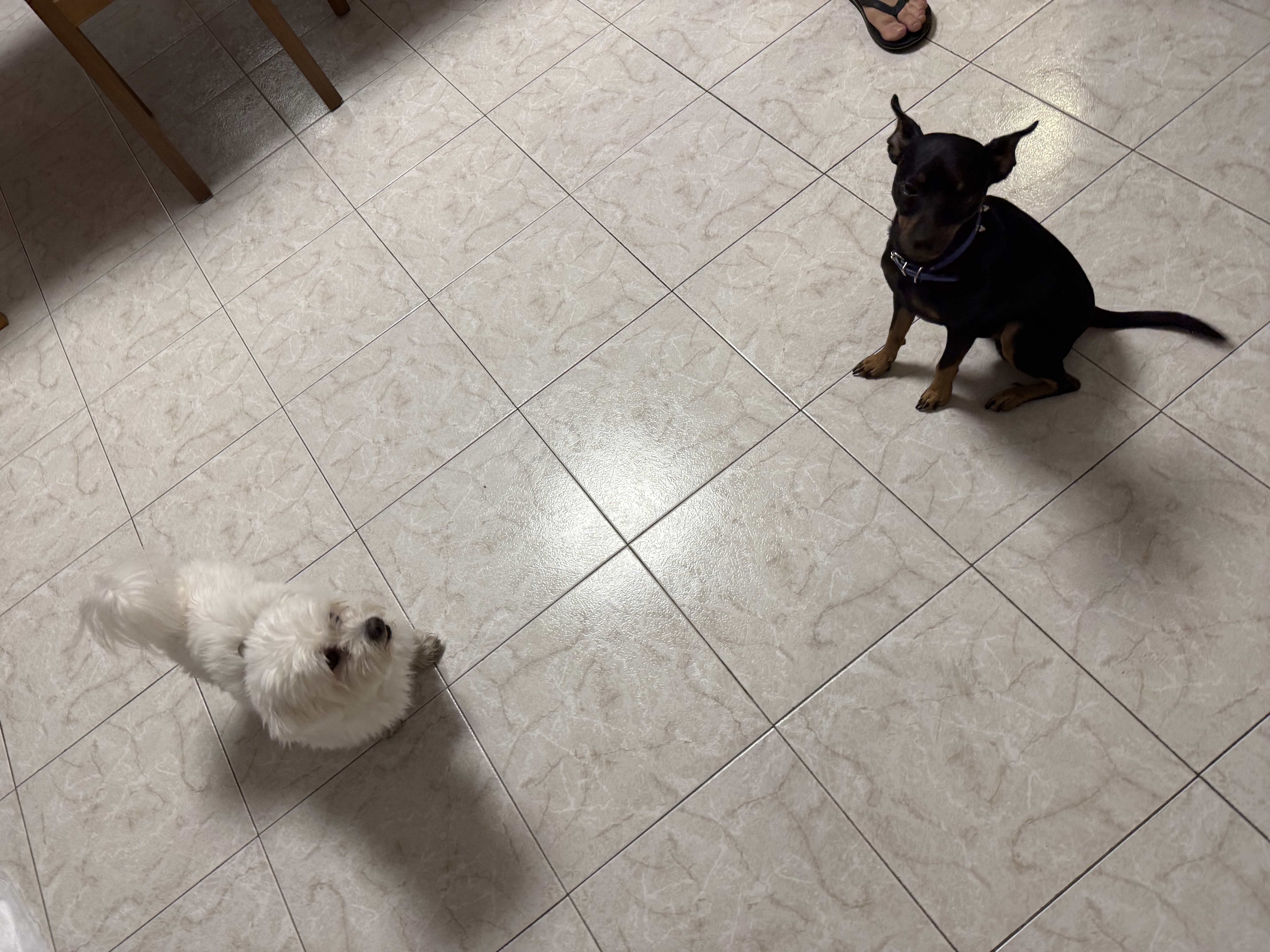 image-46