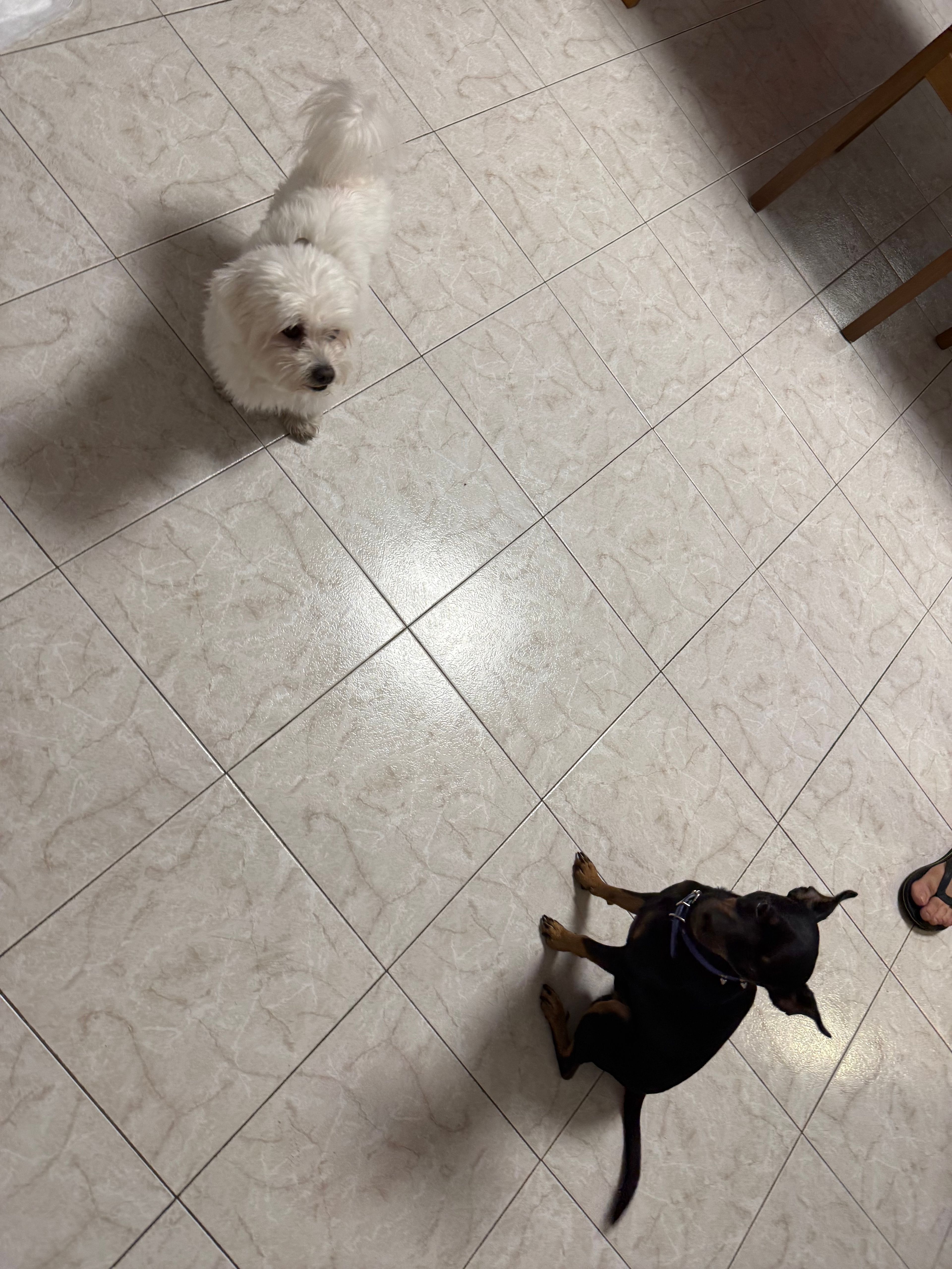 image-46