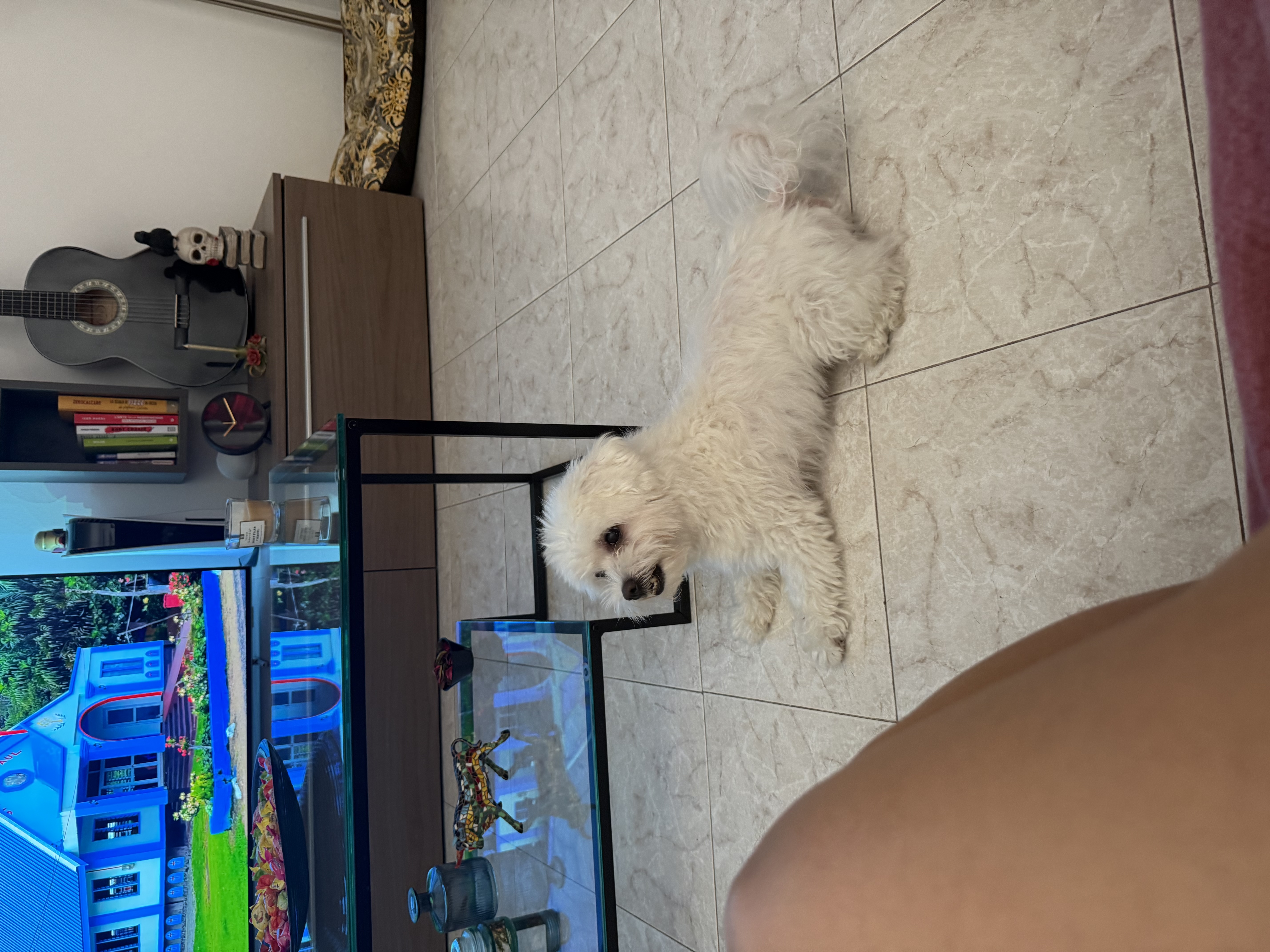 image-12