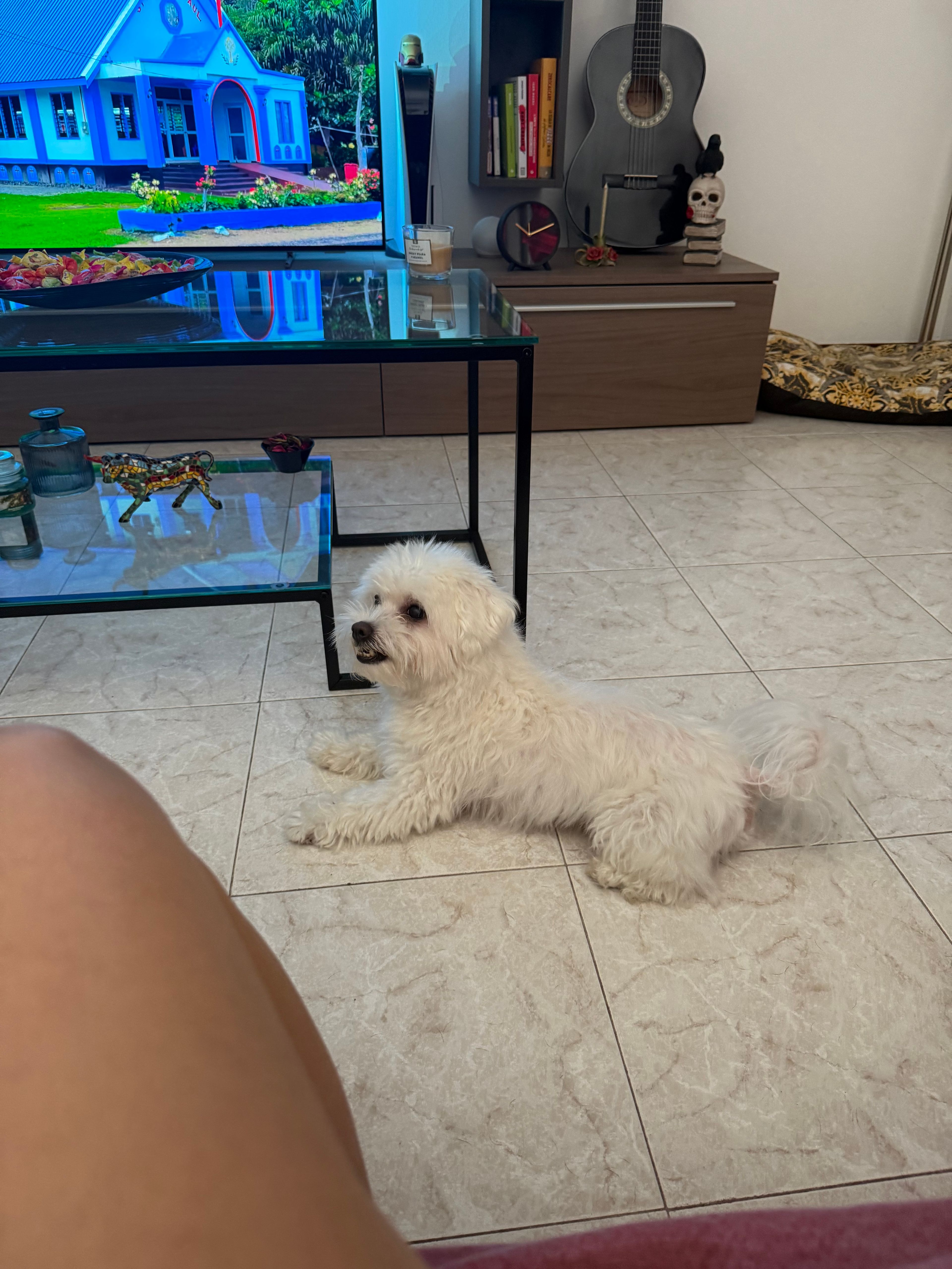 image-12