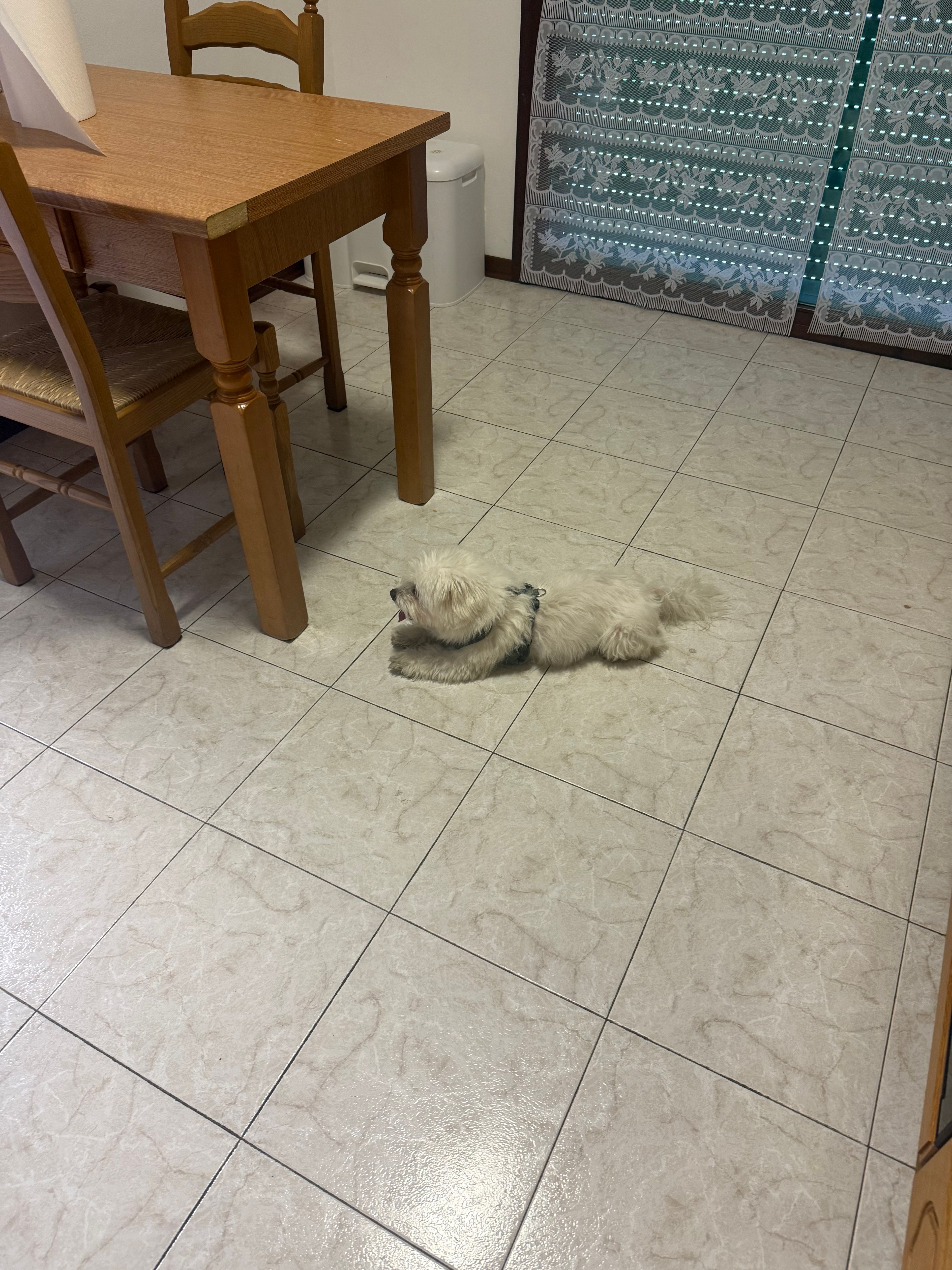 image-48