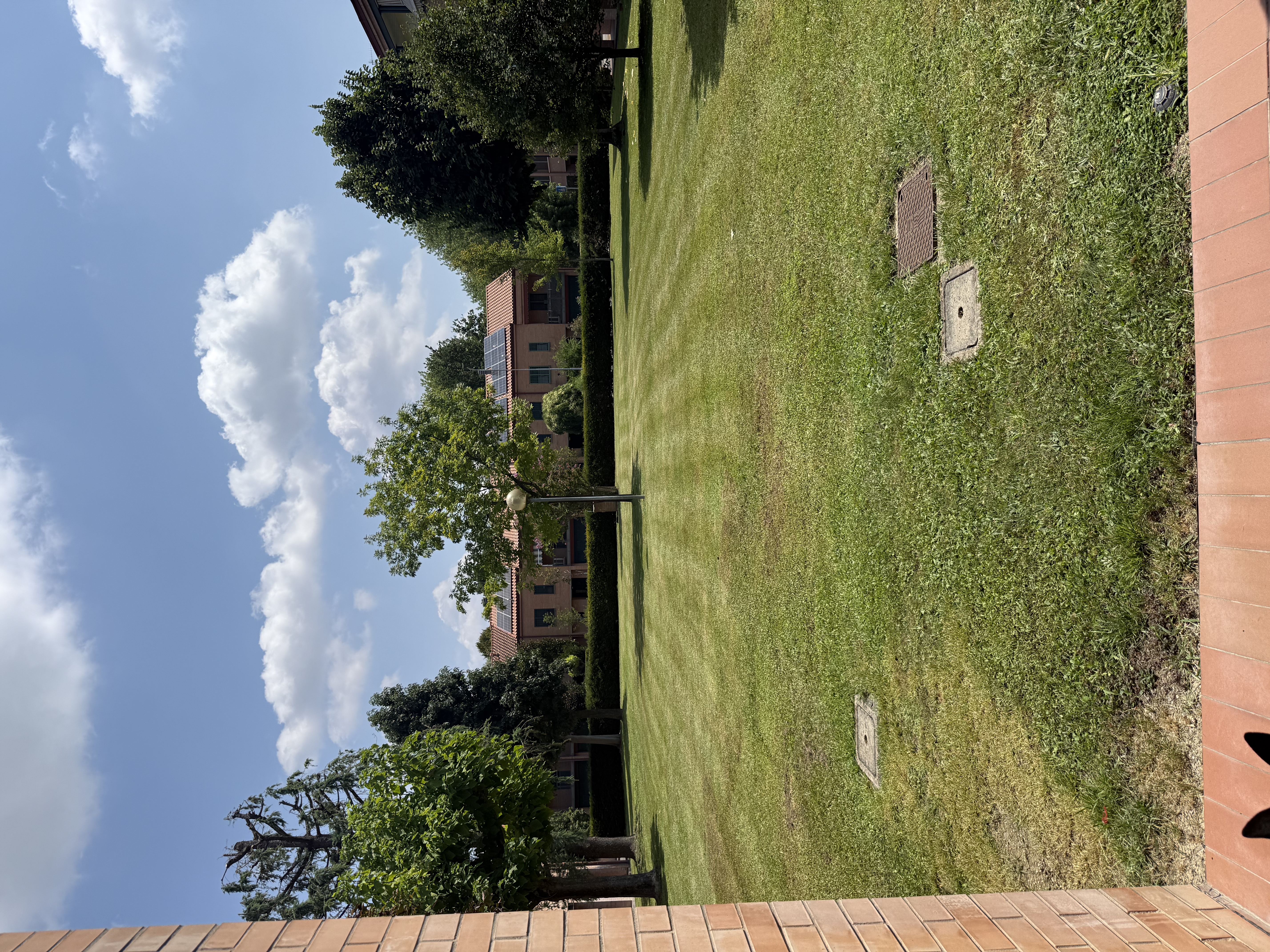 image-42