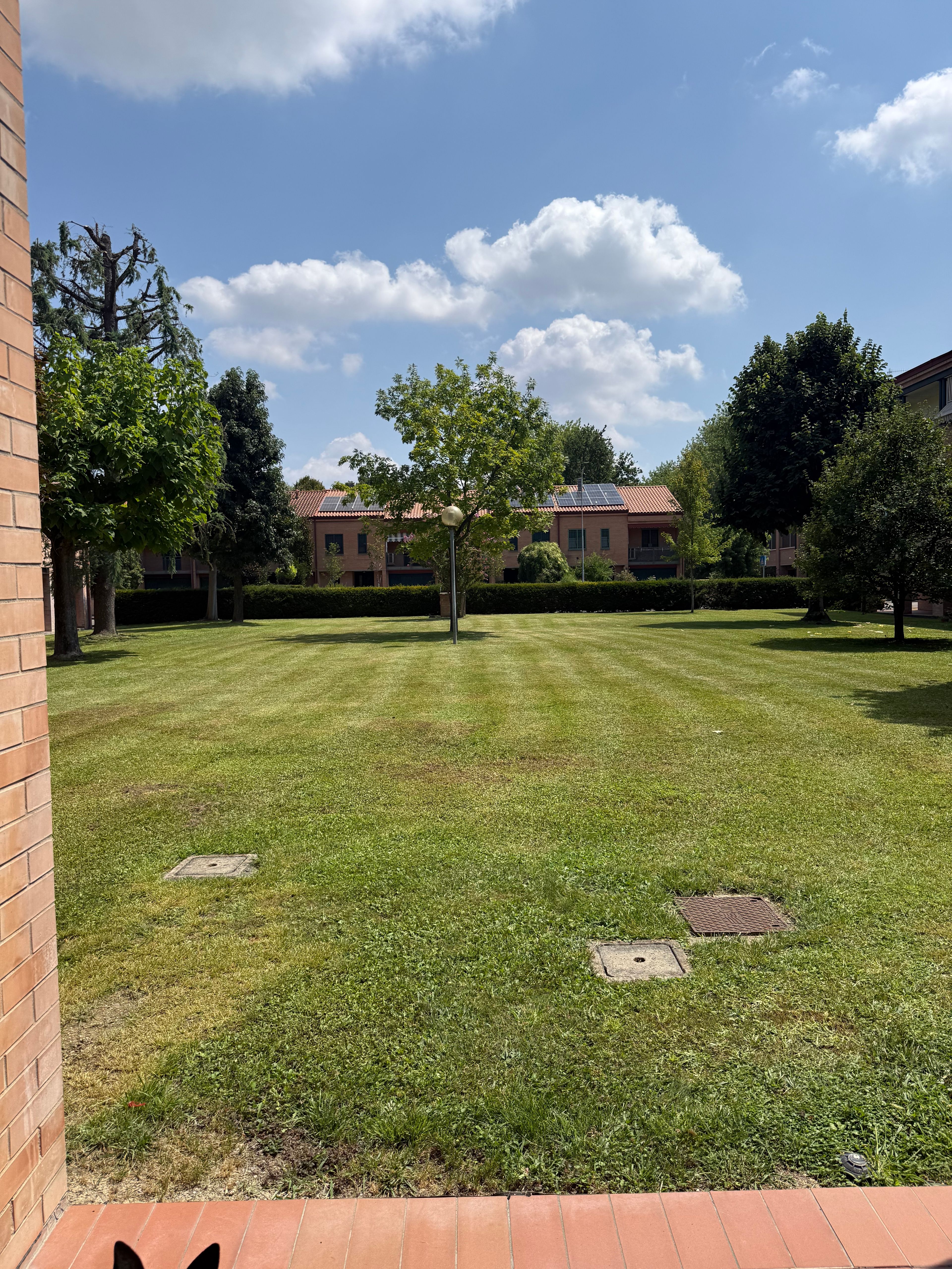 image-42
