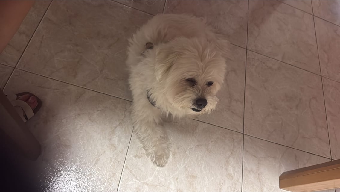 image-50