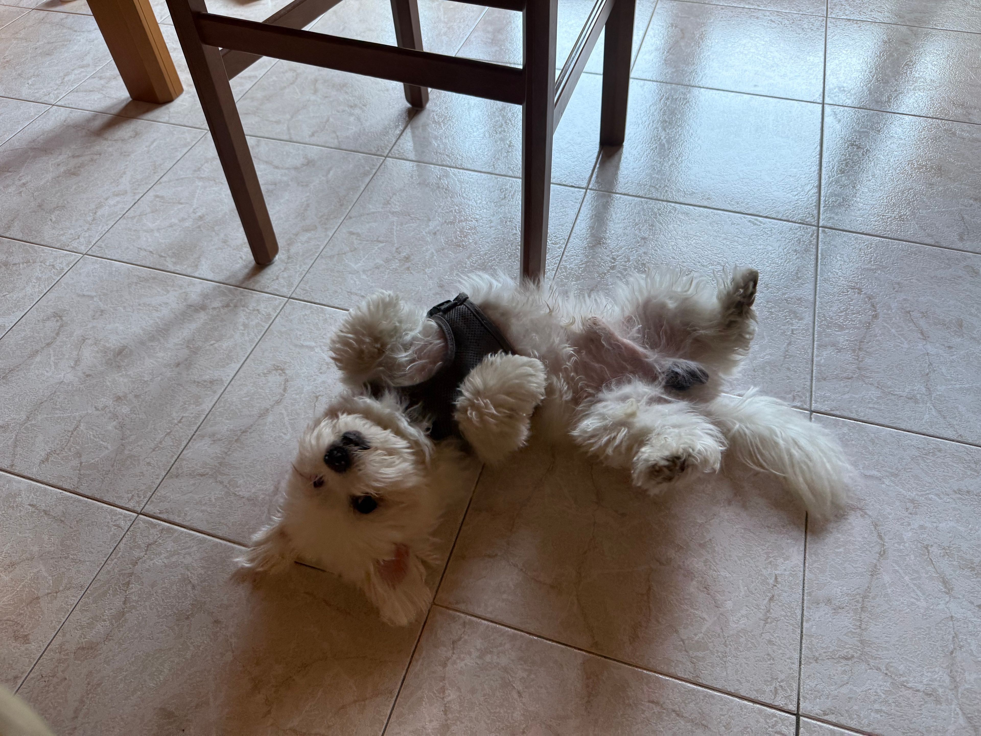 image-8