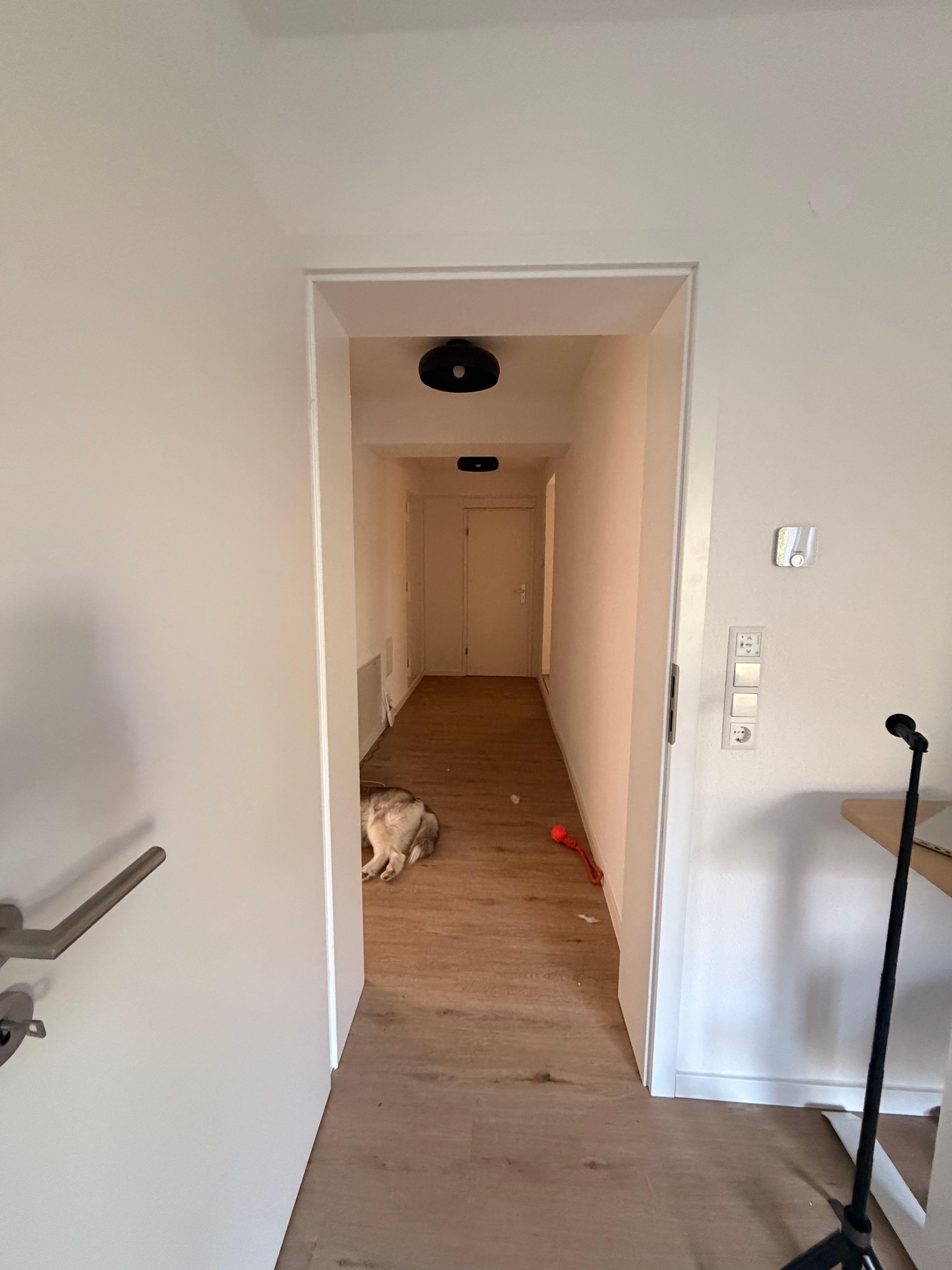 image-18