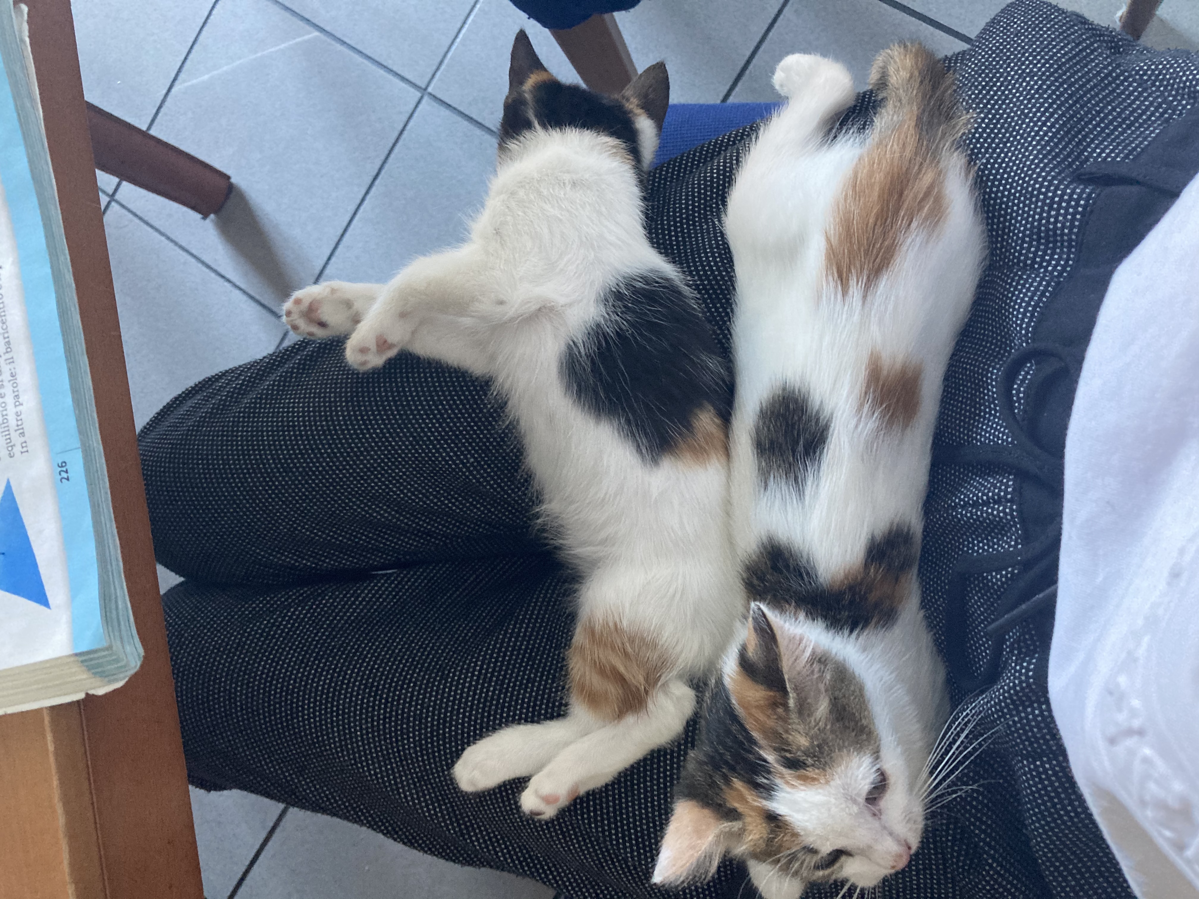 image-6