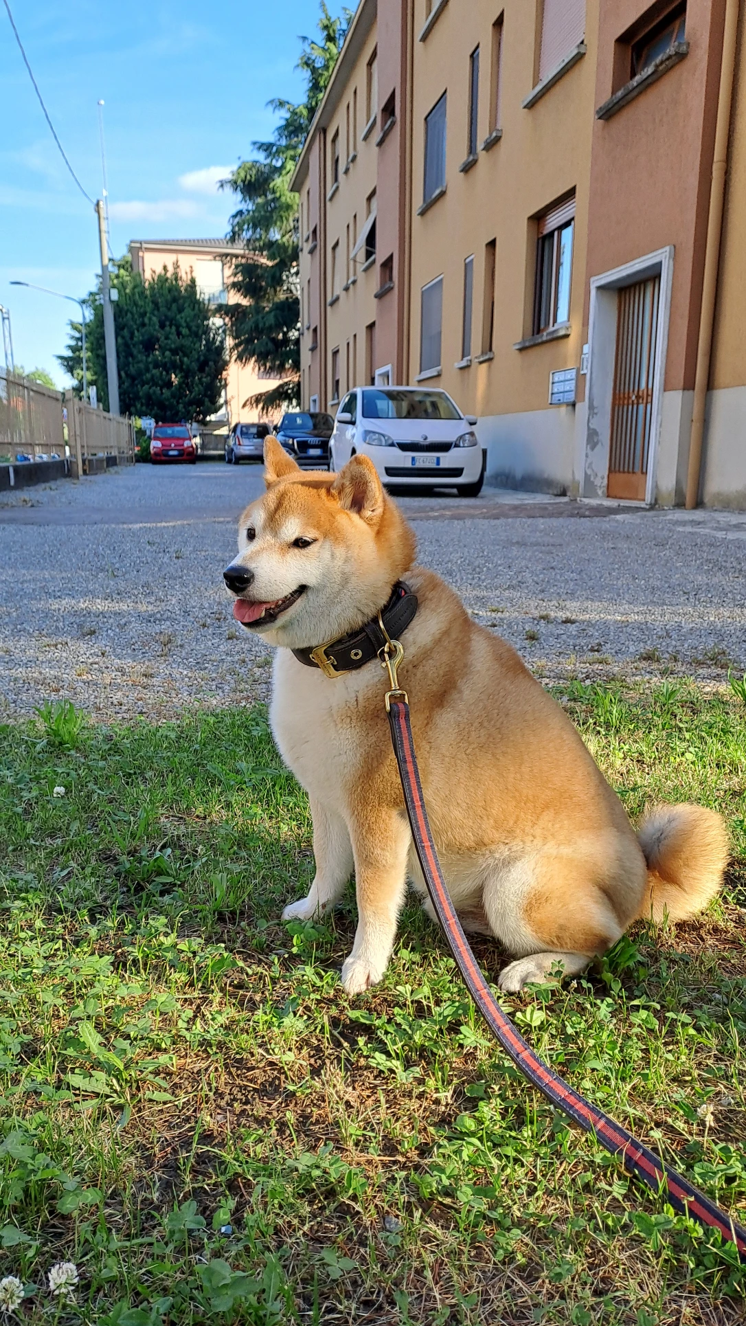 image-15