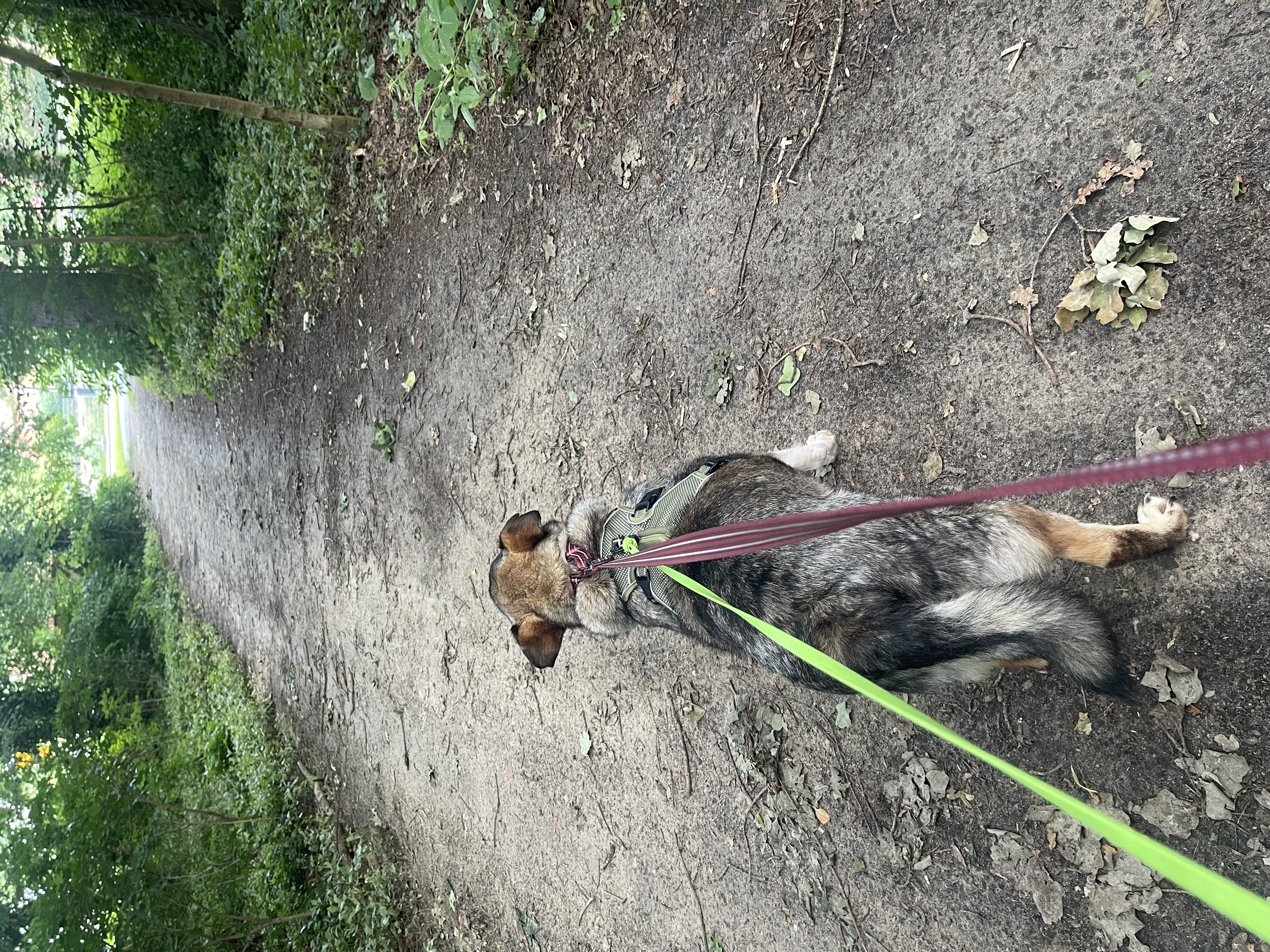image-13