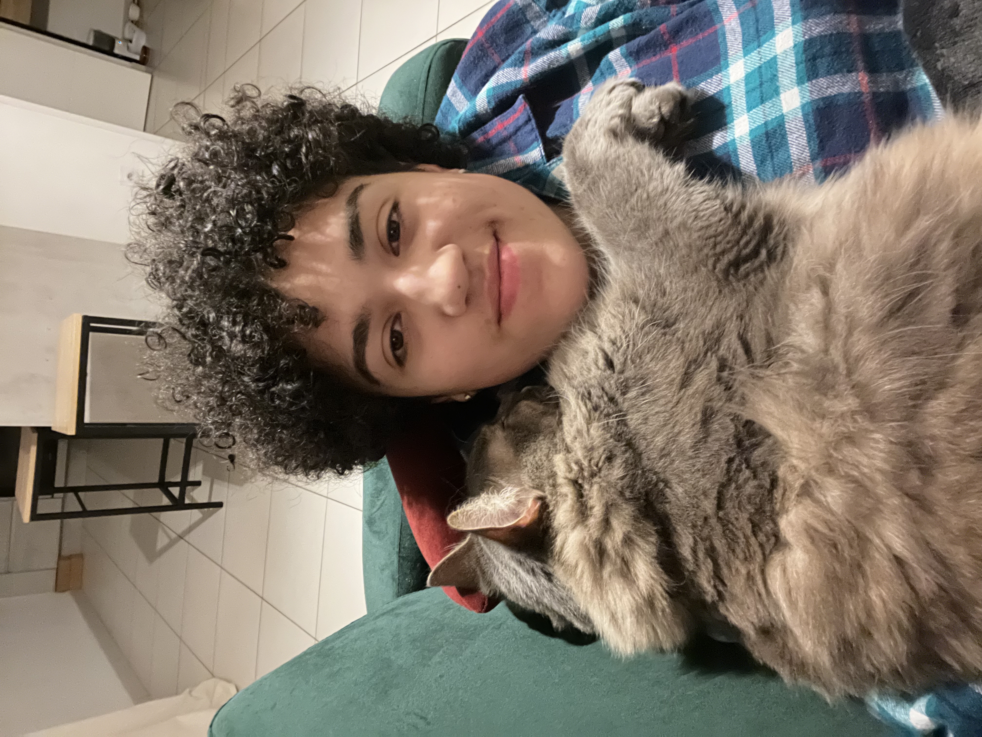 image-7