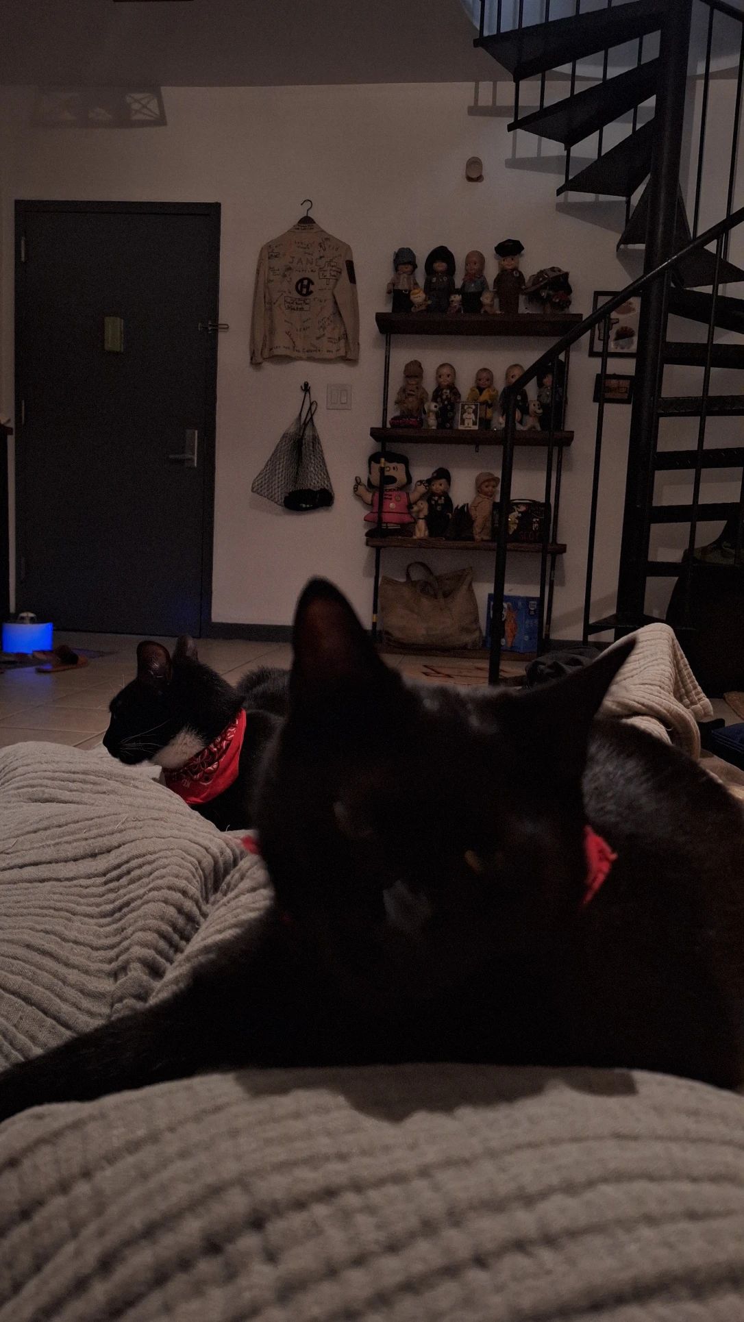 image-7