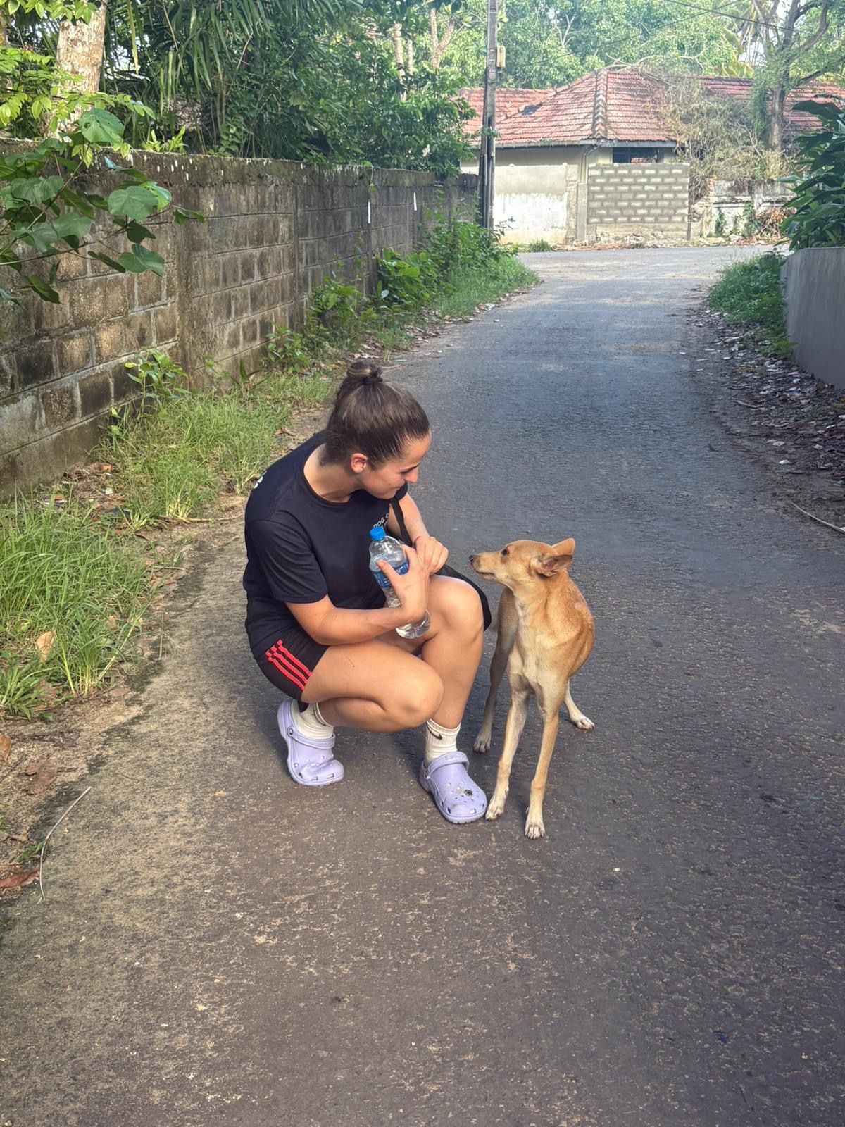 image-11