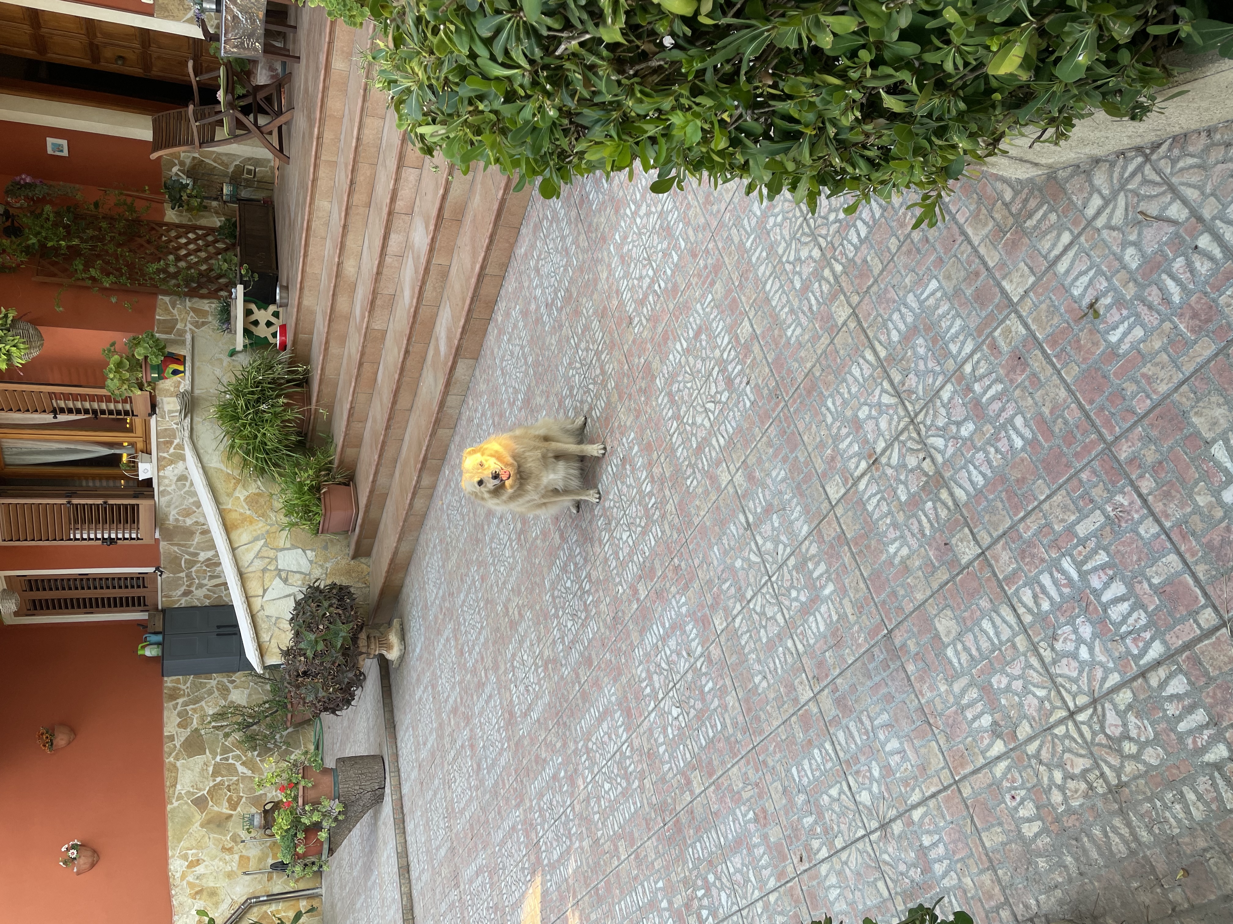 image-8