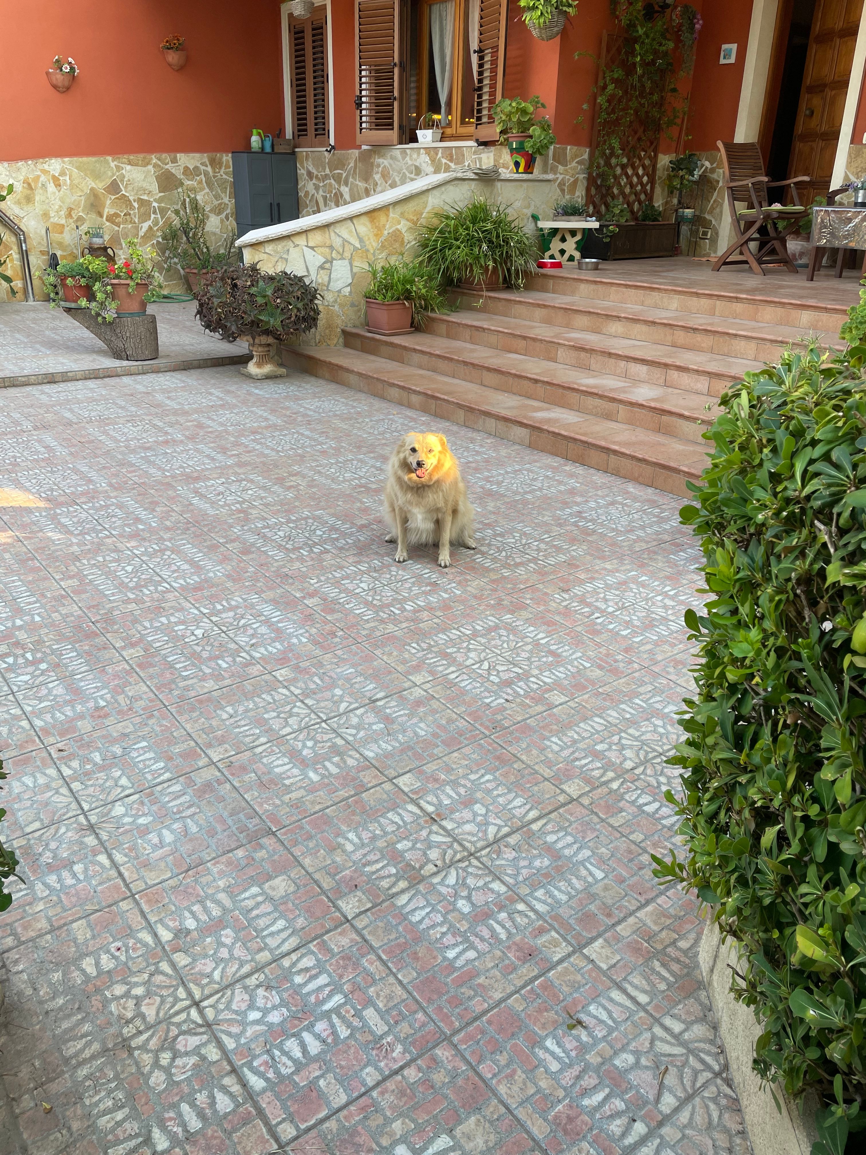 image-8