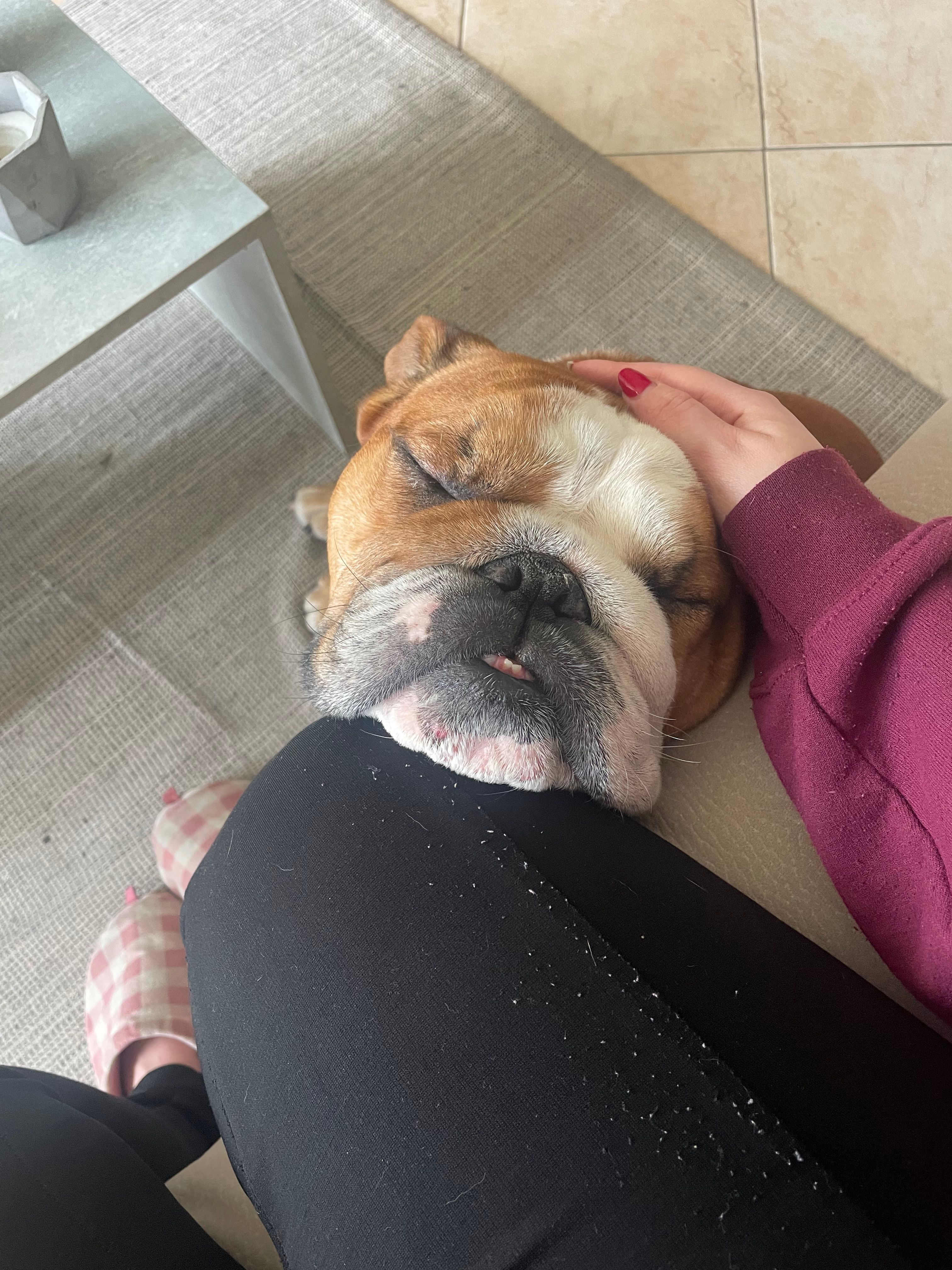 image-10
