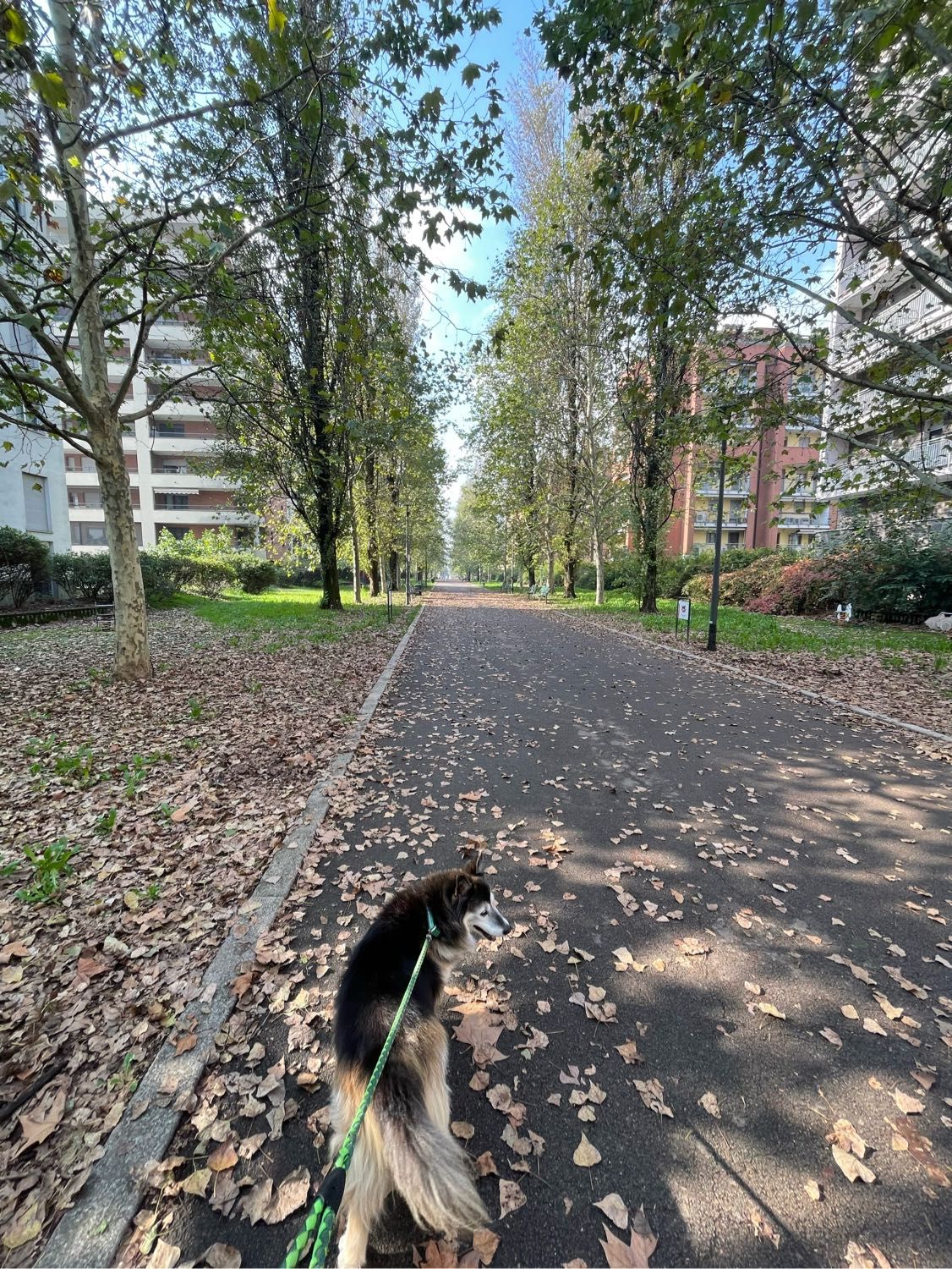 image-13
