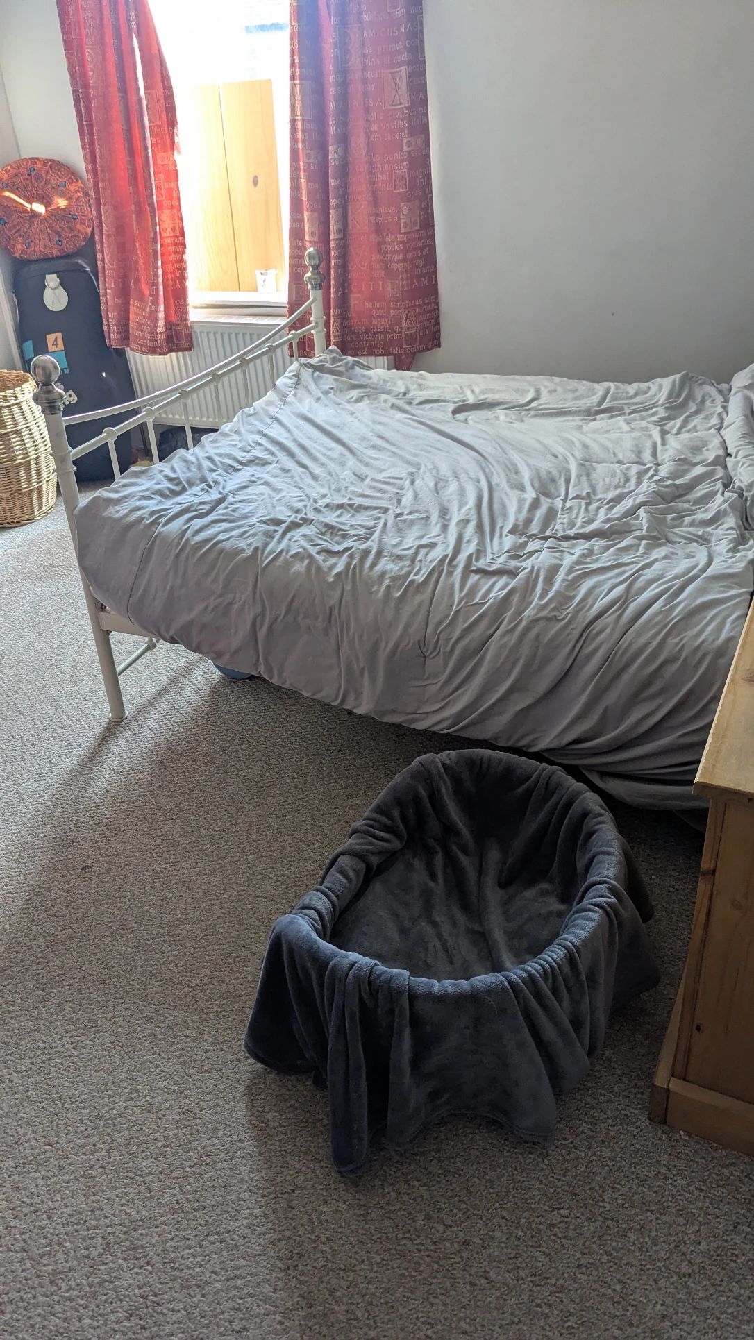 image-19