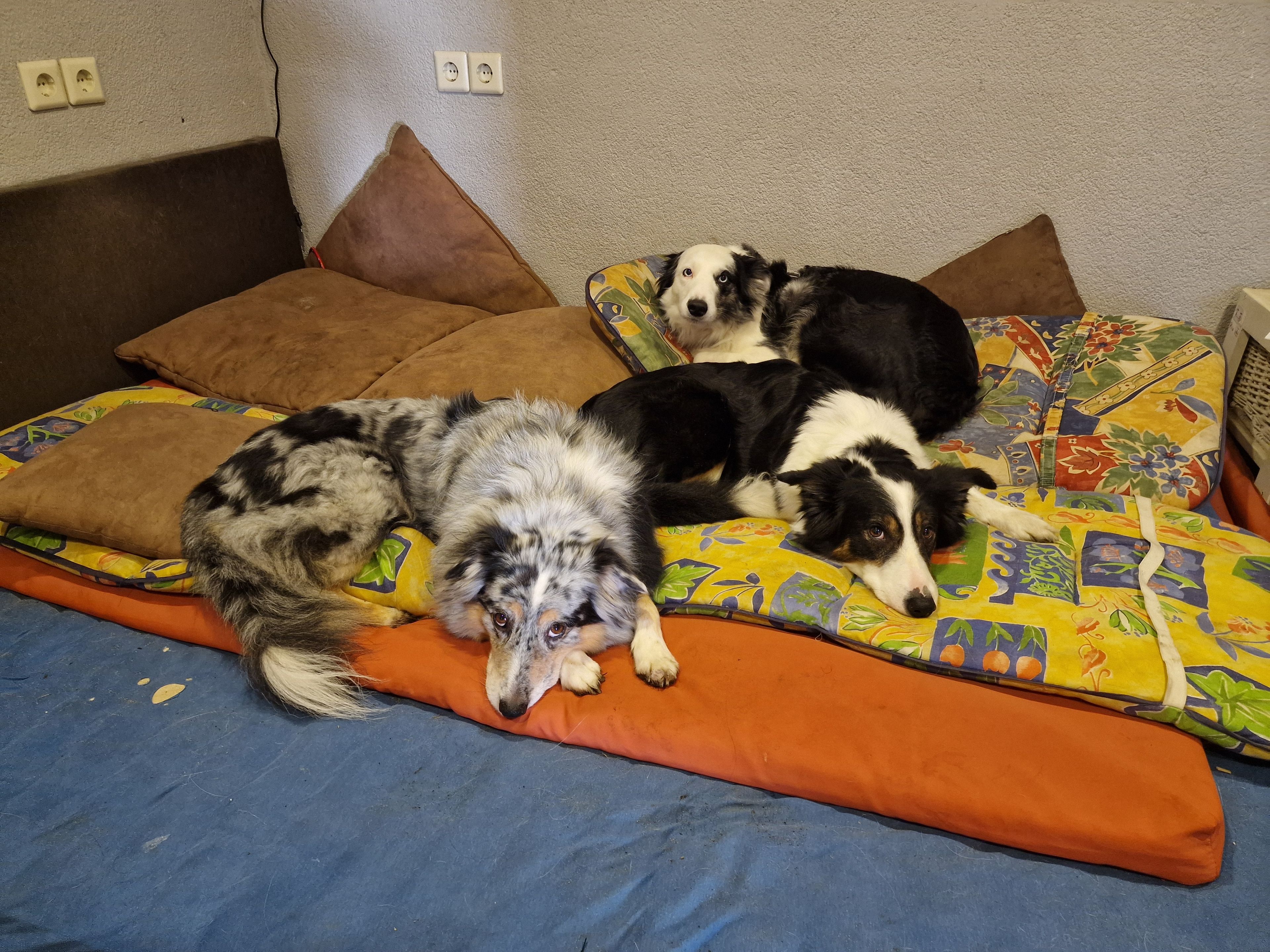 image-9